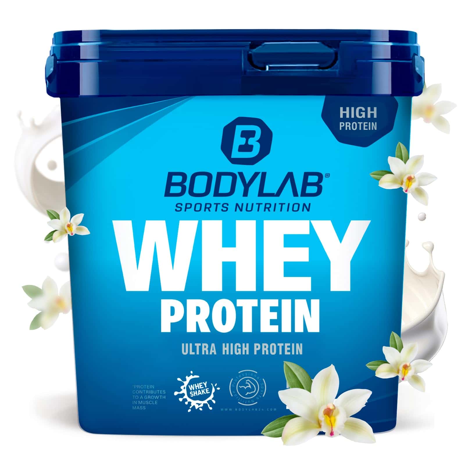 Bodylab24 Whey Protein Pulver, Vanille, 1kg