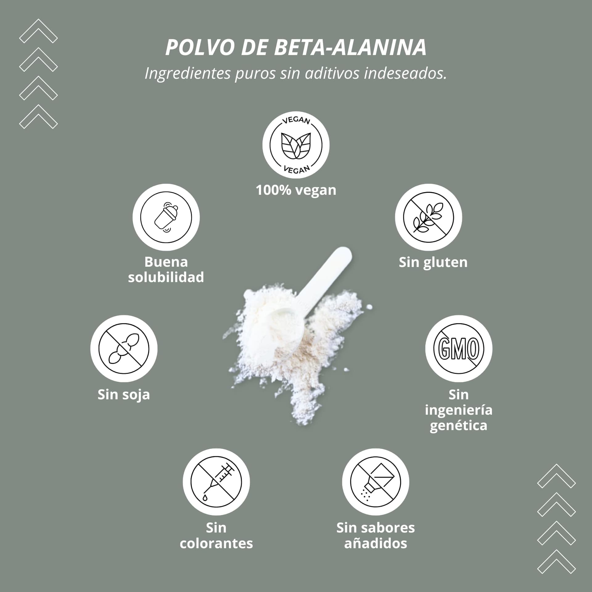 Nutri + Beta Alanin 1 kg – Bild 3