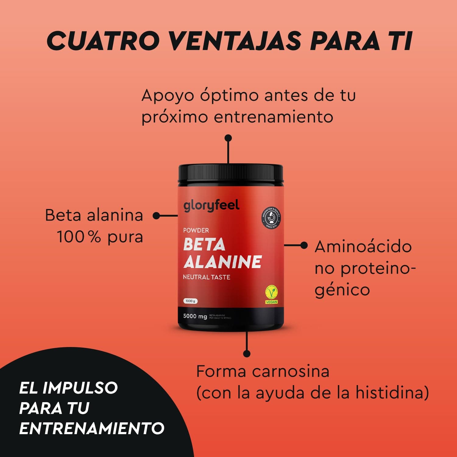 gloryfeel Beta Alanin Pulver 1000g – Bild 3