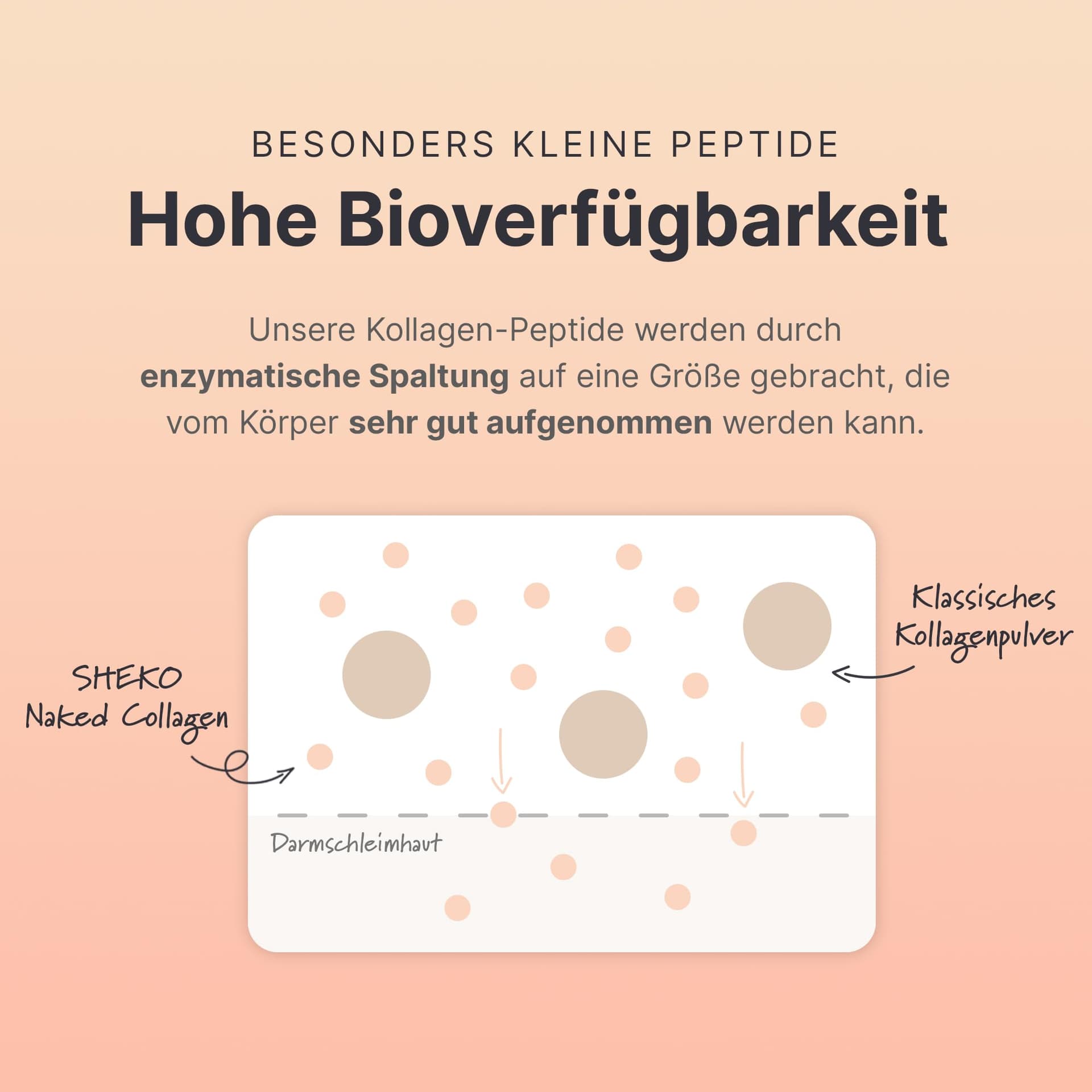 Sheko Premium Kollagen Pulver 450g – Bild 8