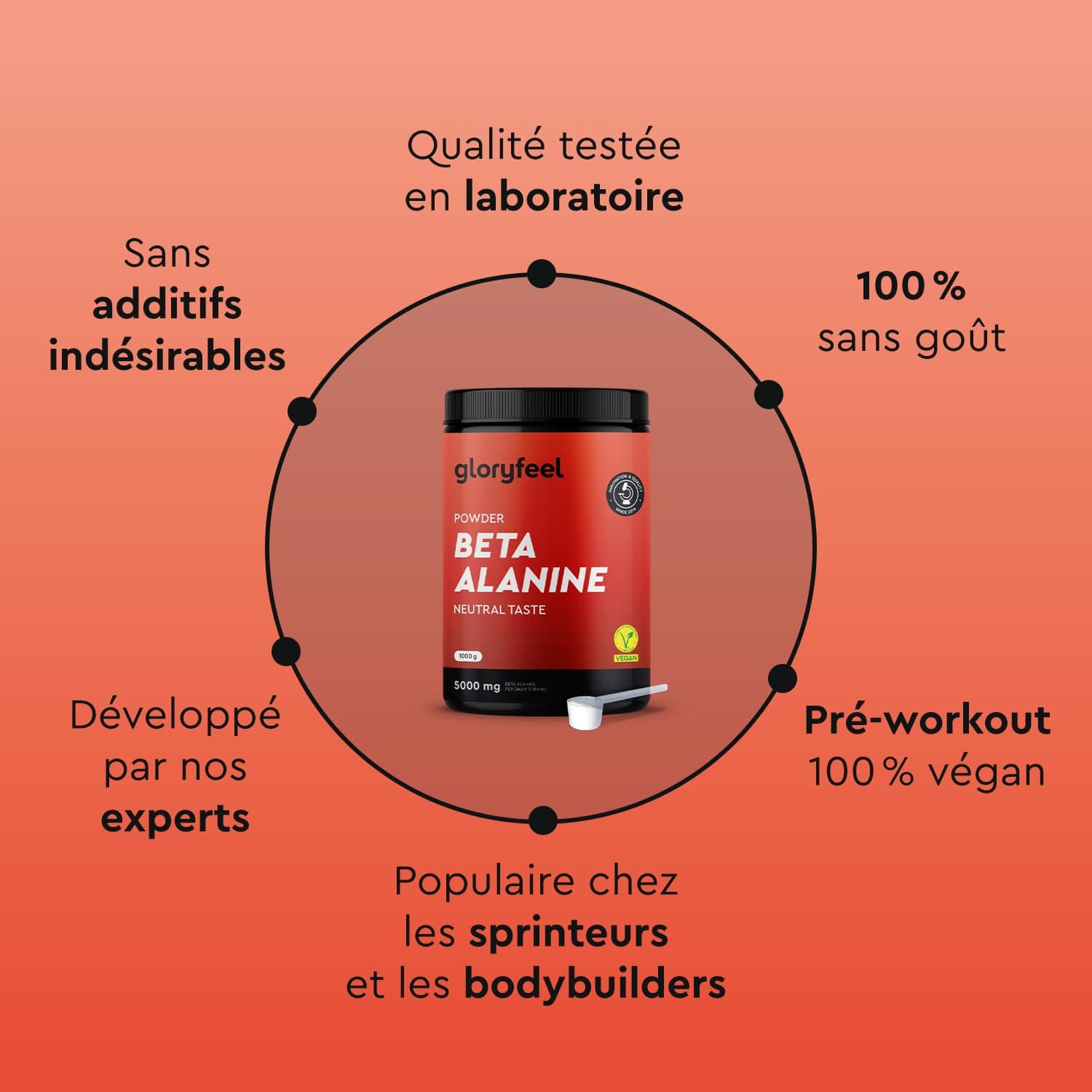 gloryfeel Beta Alanin Pulver 1000g – Bild 6