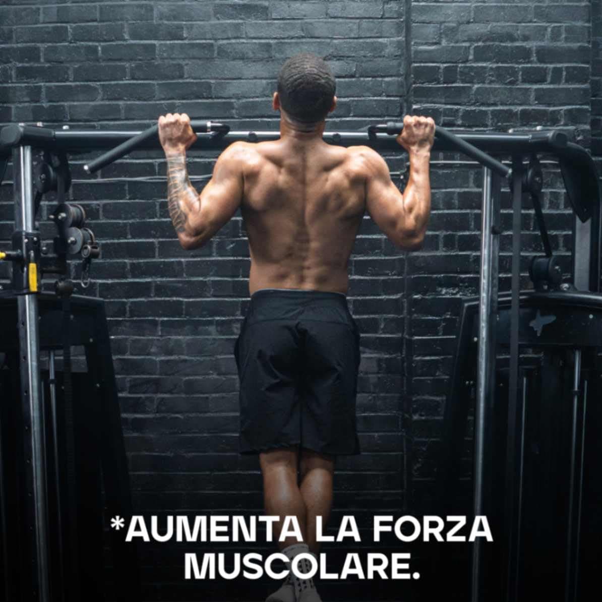 Bulk Creatina Monoidrato Polvere 500 g – Bild 3