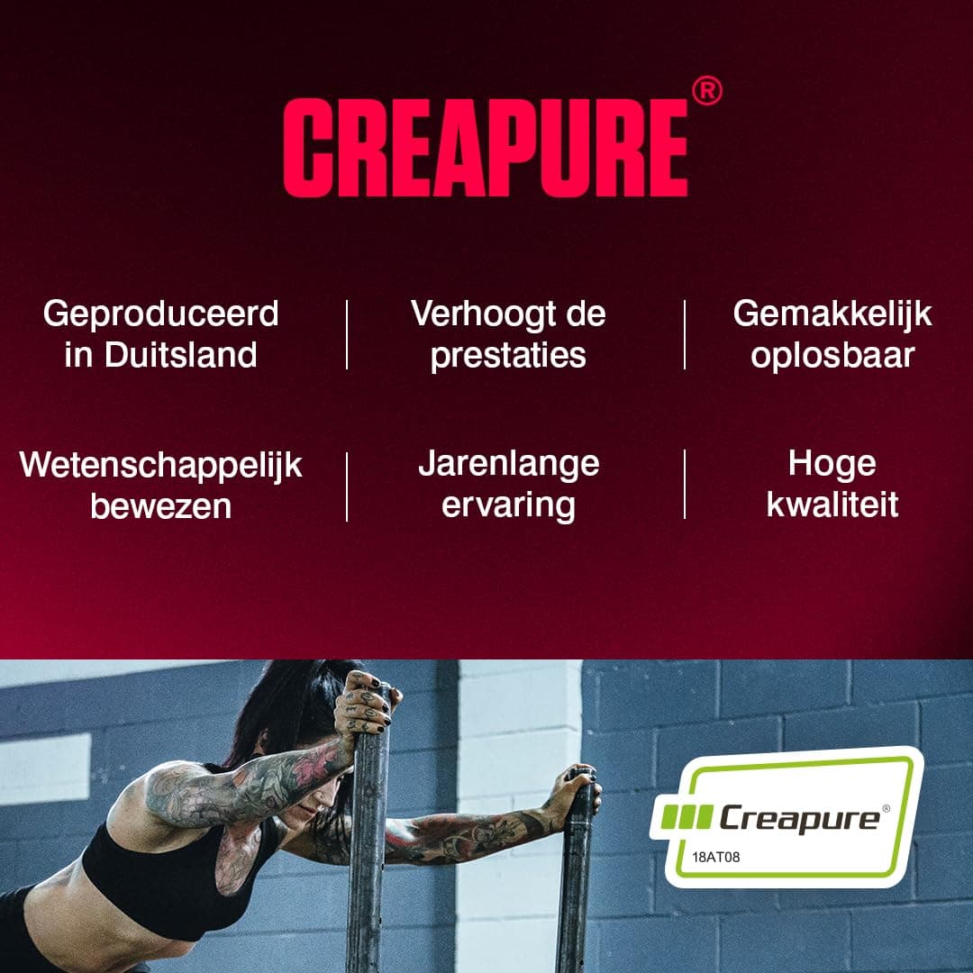 Dymatize Creatine Monohydrate Unflavoured Powder 500g – Bild 6