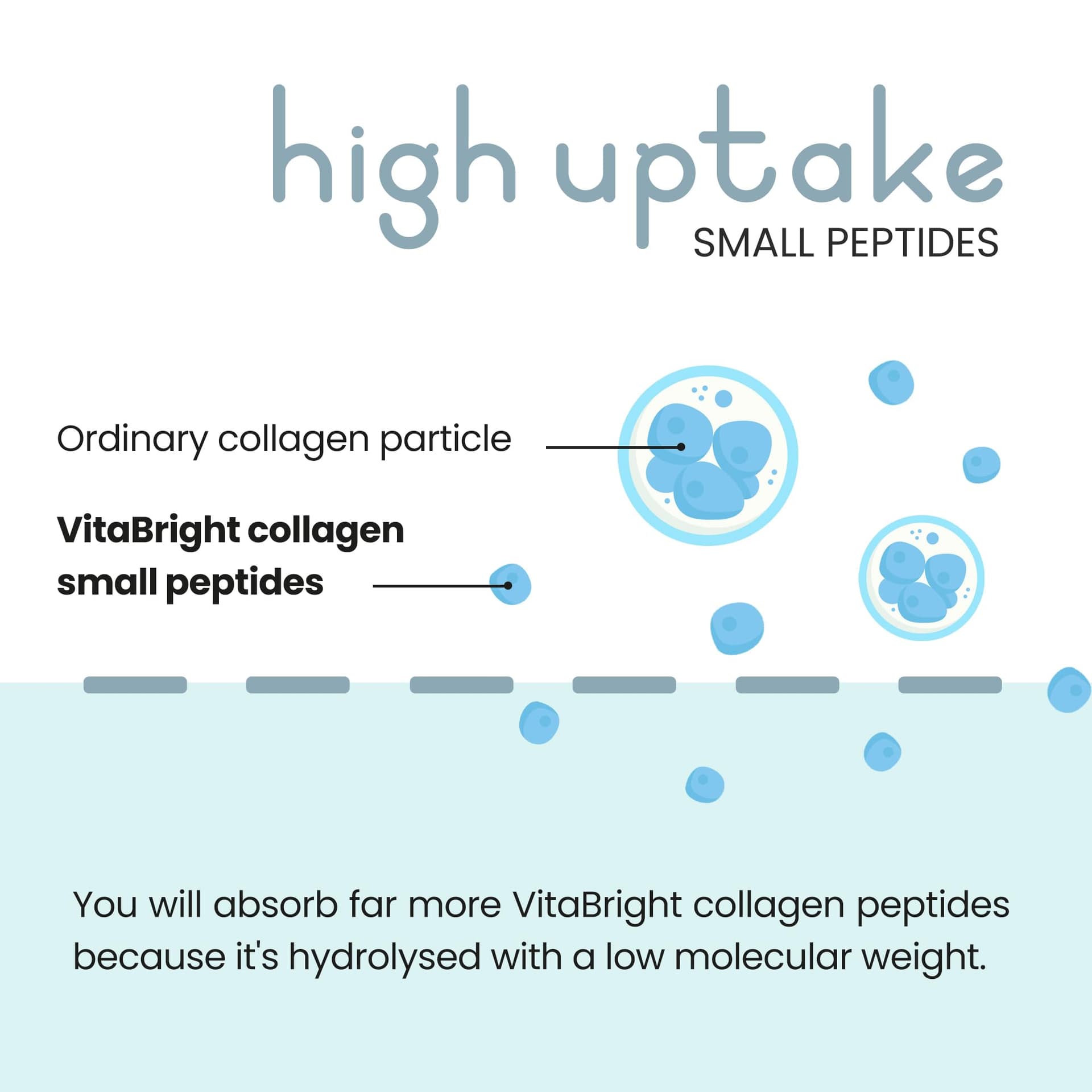 VitaBright Bovine Collagen Powder 500g – Bild 3