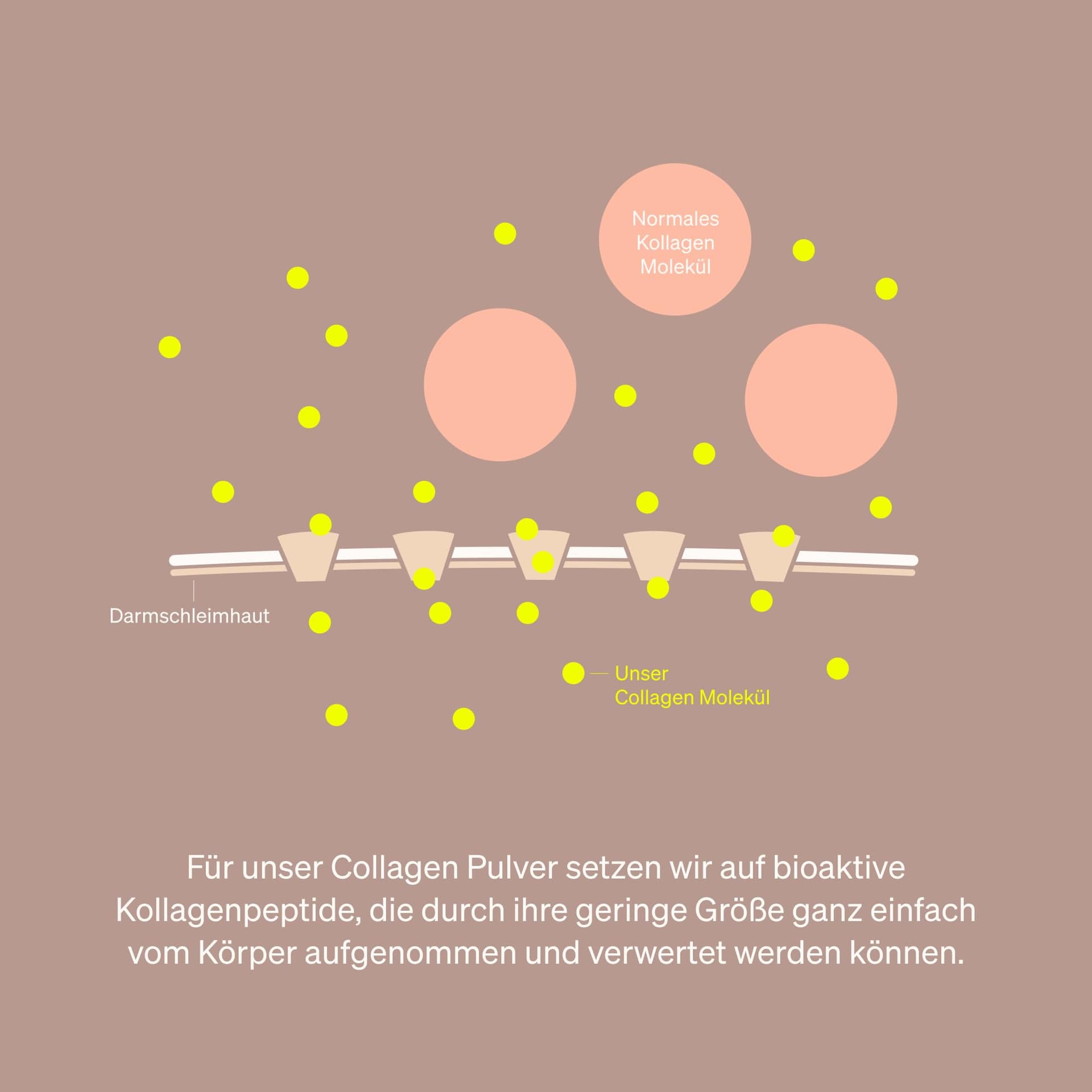 Natural Elements Collagen Pulver 500 g – Bild 4