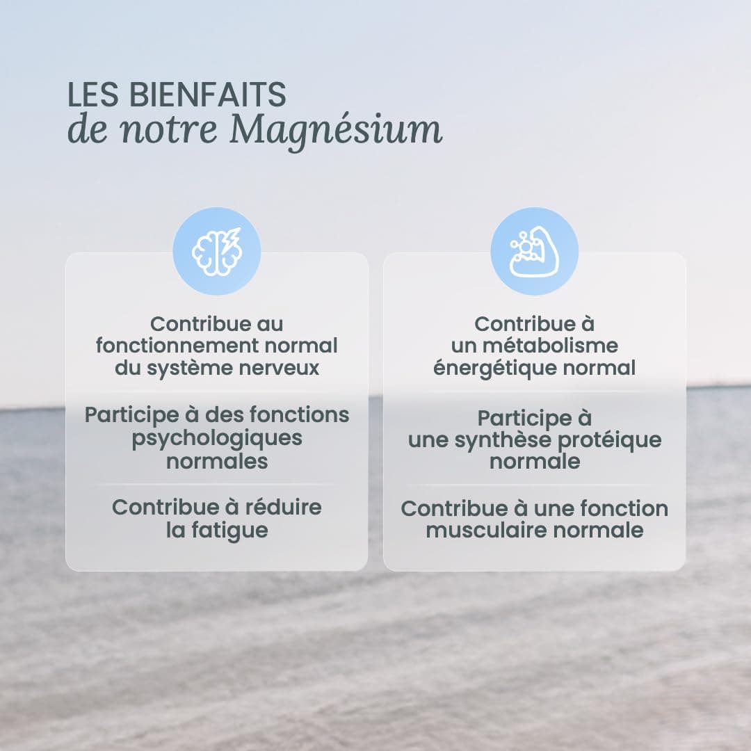 NUTRI & CO Magnésium Bisglycinate Malate & Liposome + – Bild 3