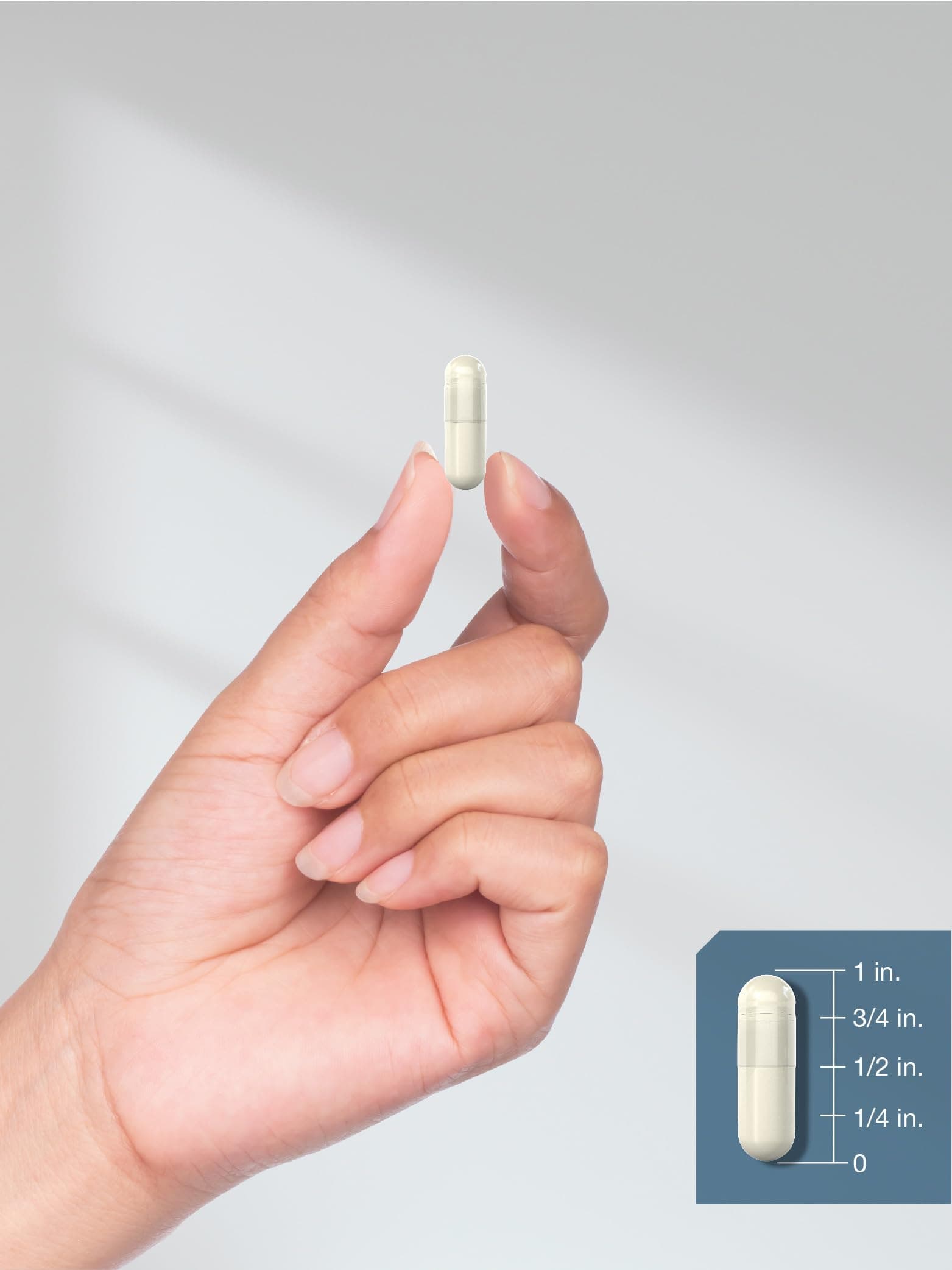 Horbäach Magnesium Bisglycinate – Bild 8