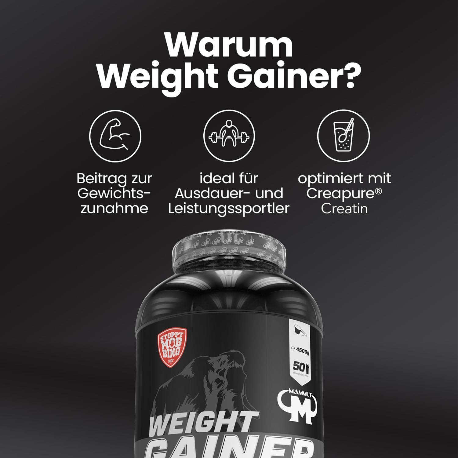 Mammut Nutrition Crash Weight Gainer Pulver Vanilla – 4,5 kg – Bild 3