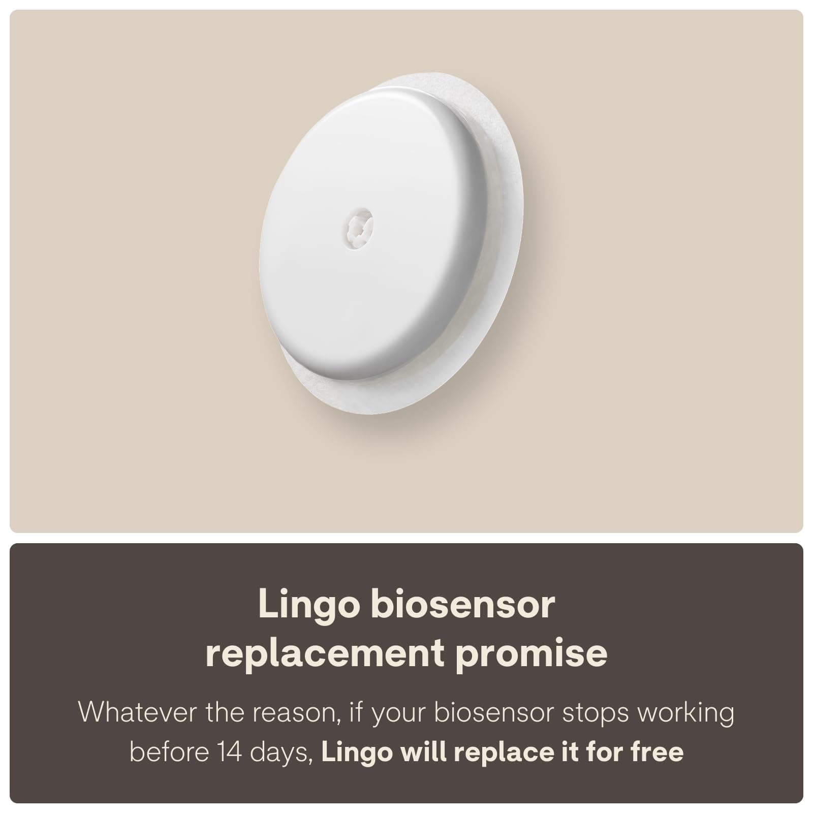 Lingo Continuous Glucose Monitor (CGM) Biosensor & App. – Bild 6