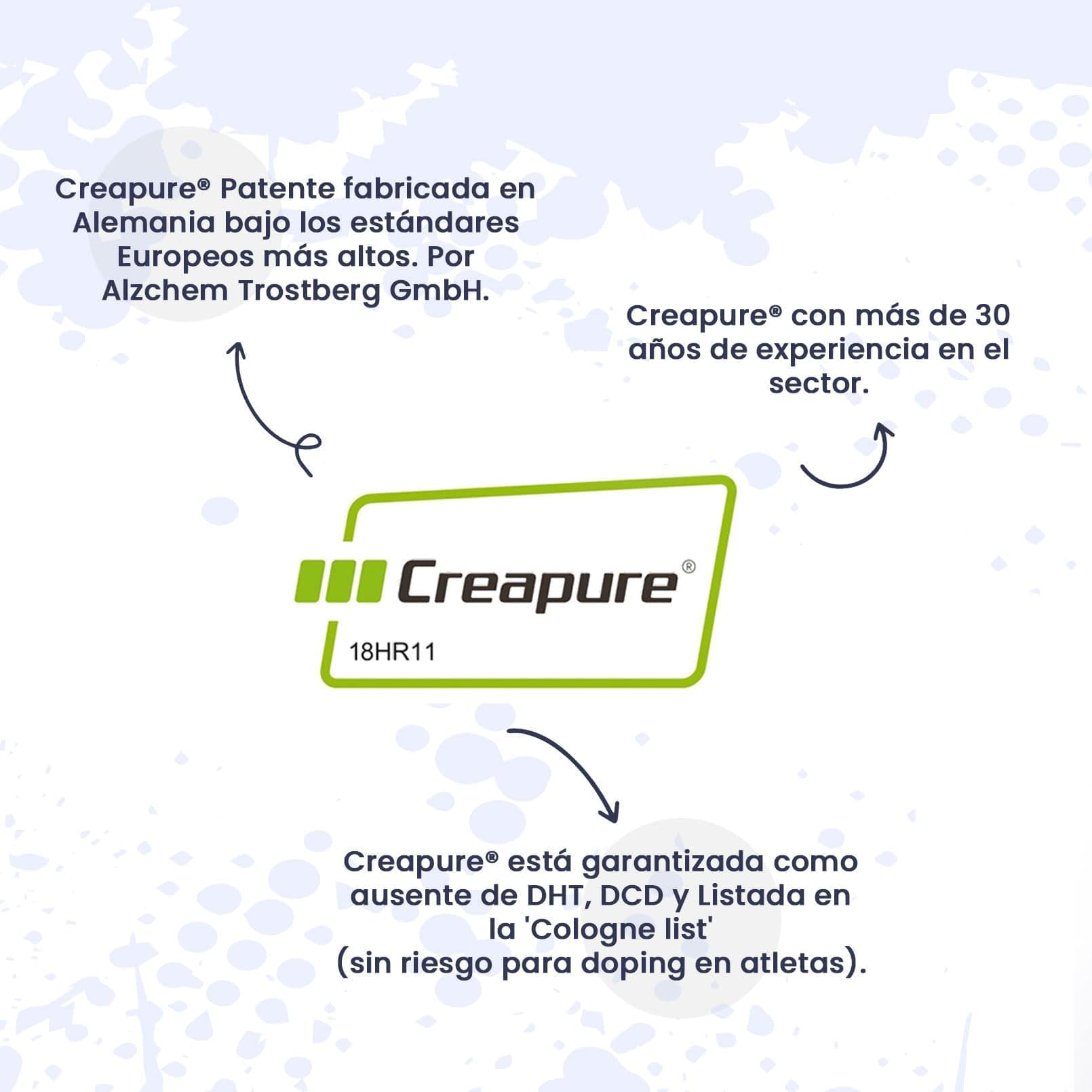 HSN Creatina 100% CREAPURE en Polvo Sin Sabor 500g – Bild 5