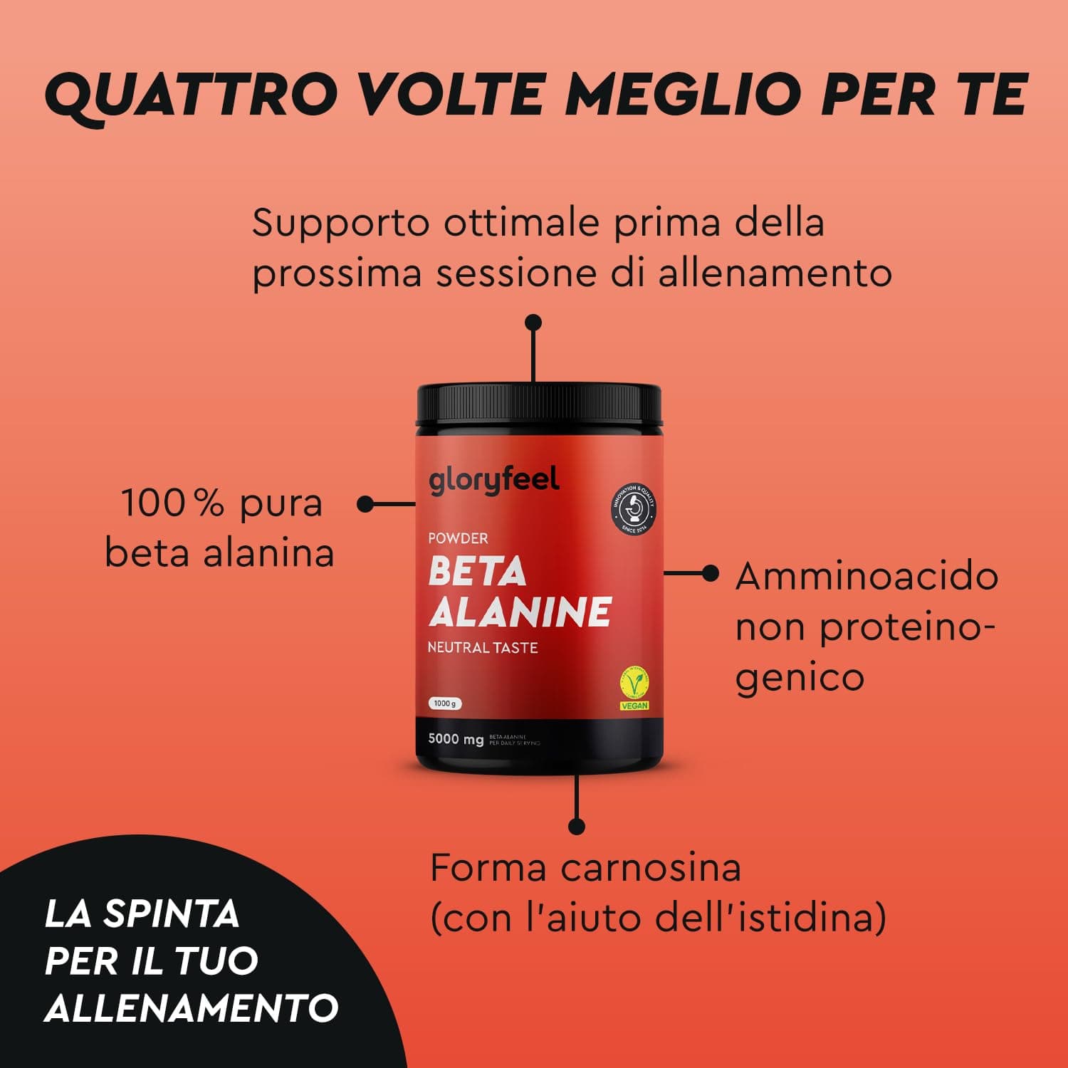 gloryfeel Beta Alanin Pulver 1000g – Bild 6