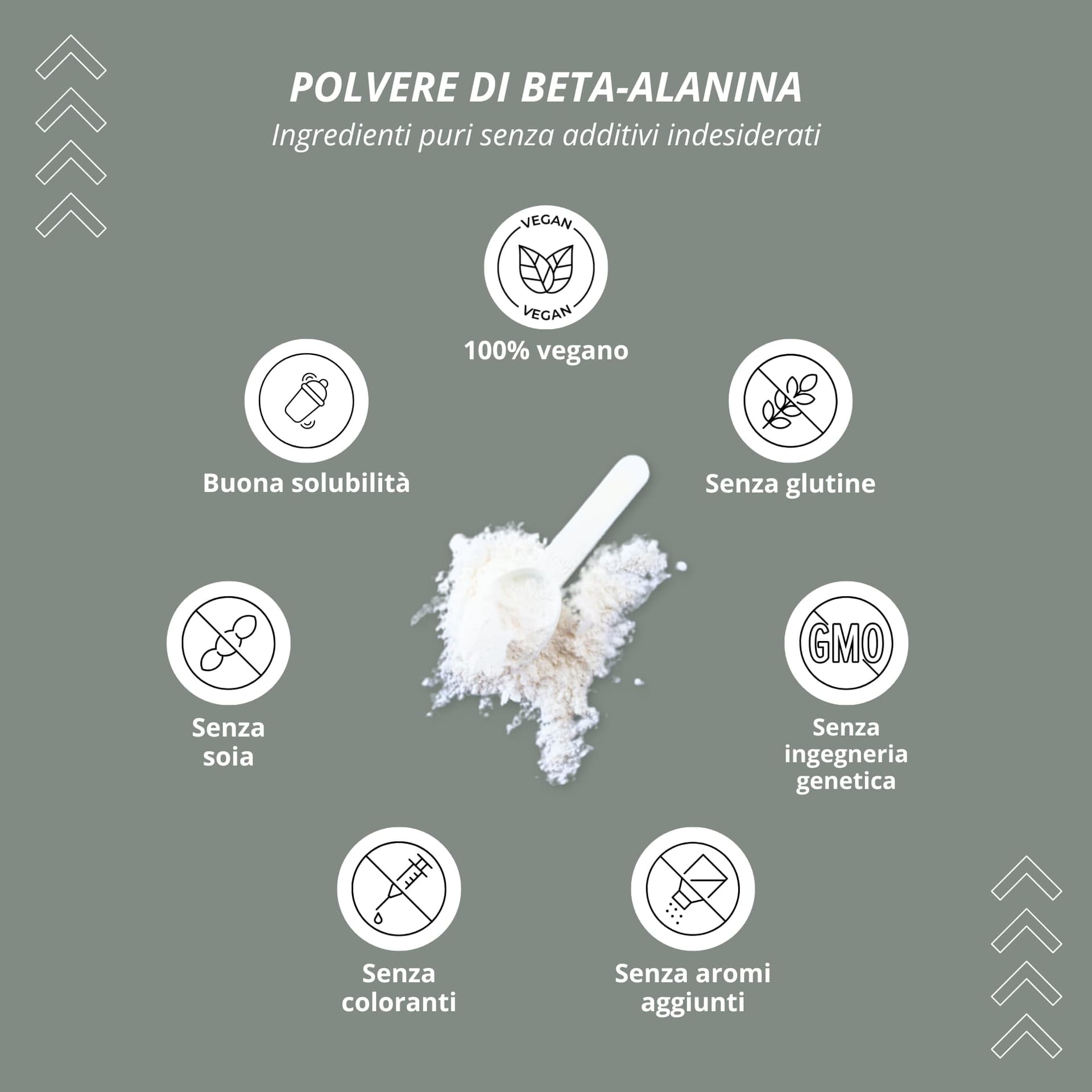 Nutri + Beta Alanin 1 kg – Bild 3