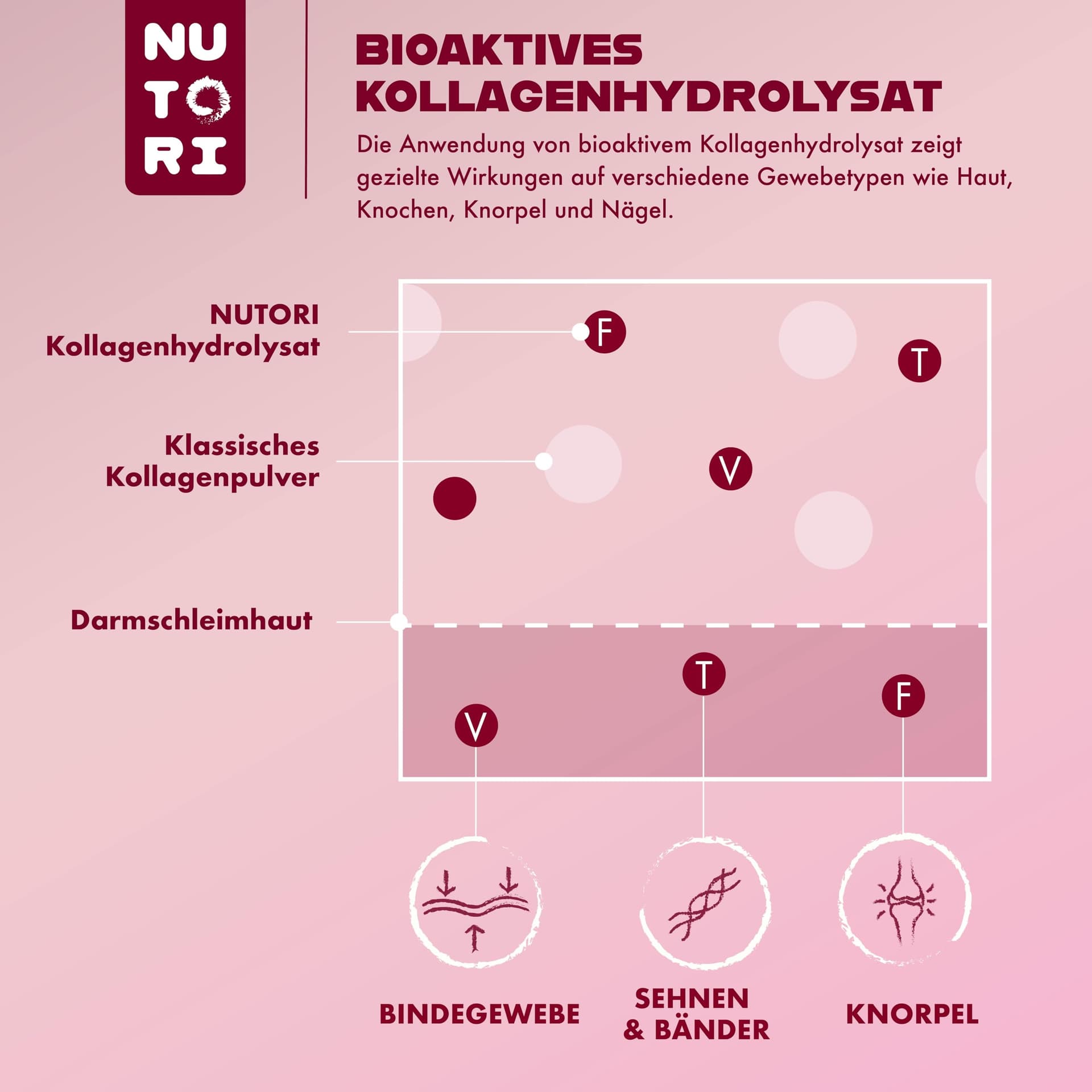 Nutori Kollagen Wunder - Kollagen Pulver 300 g – Bild 6