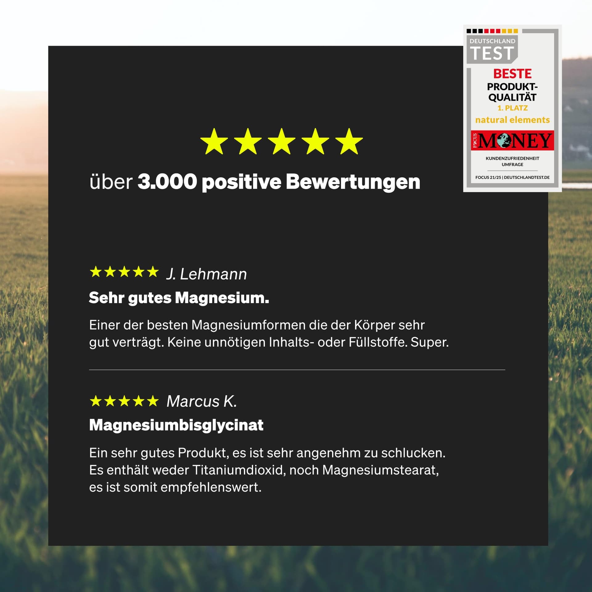 Natural Elements Magnesiumbisglycinat - Premium: Chelatiertes Magnesium - 180 Kapseln – Bild 5