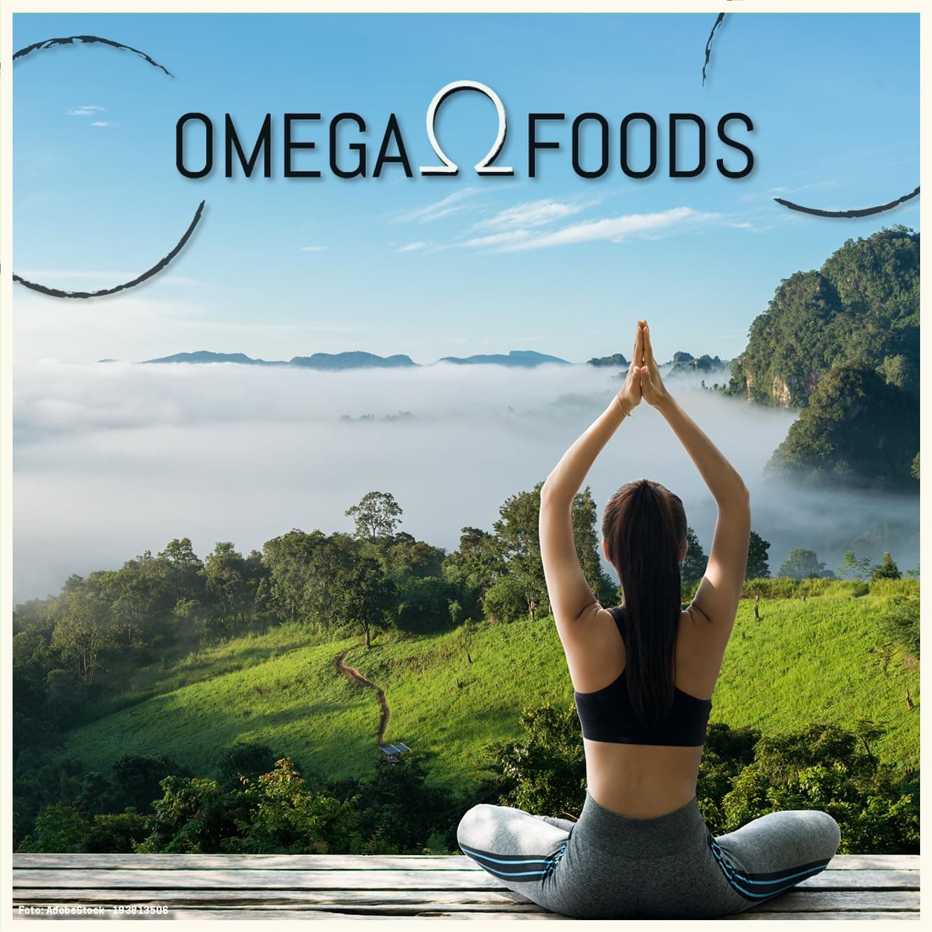 OMEGA FOODS Omega 3 Visolie 500 visoliecapsules sterk gedoseerd en super kwaliteit - 1000 mg – Bild 6
