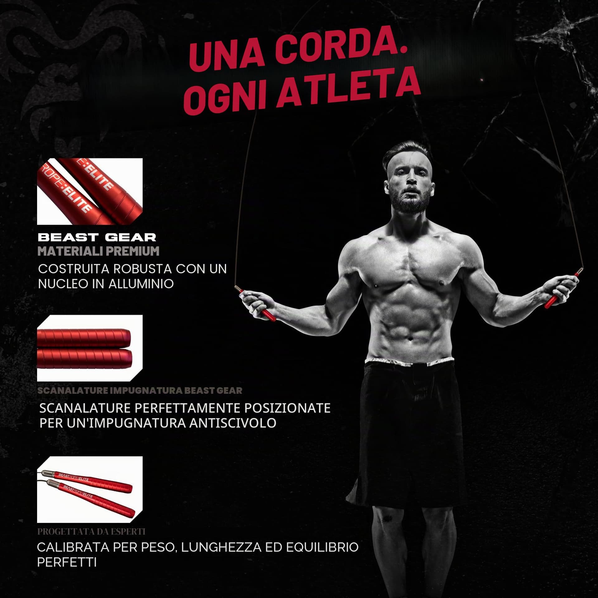 Beast Gear Comba crossfit – Bild 5