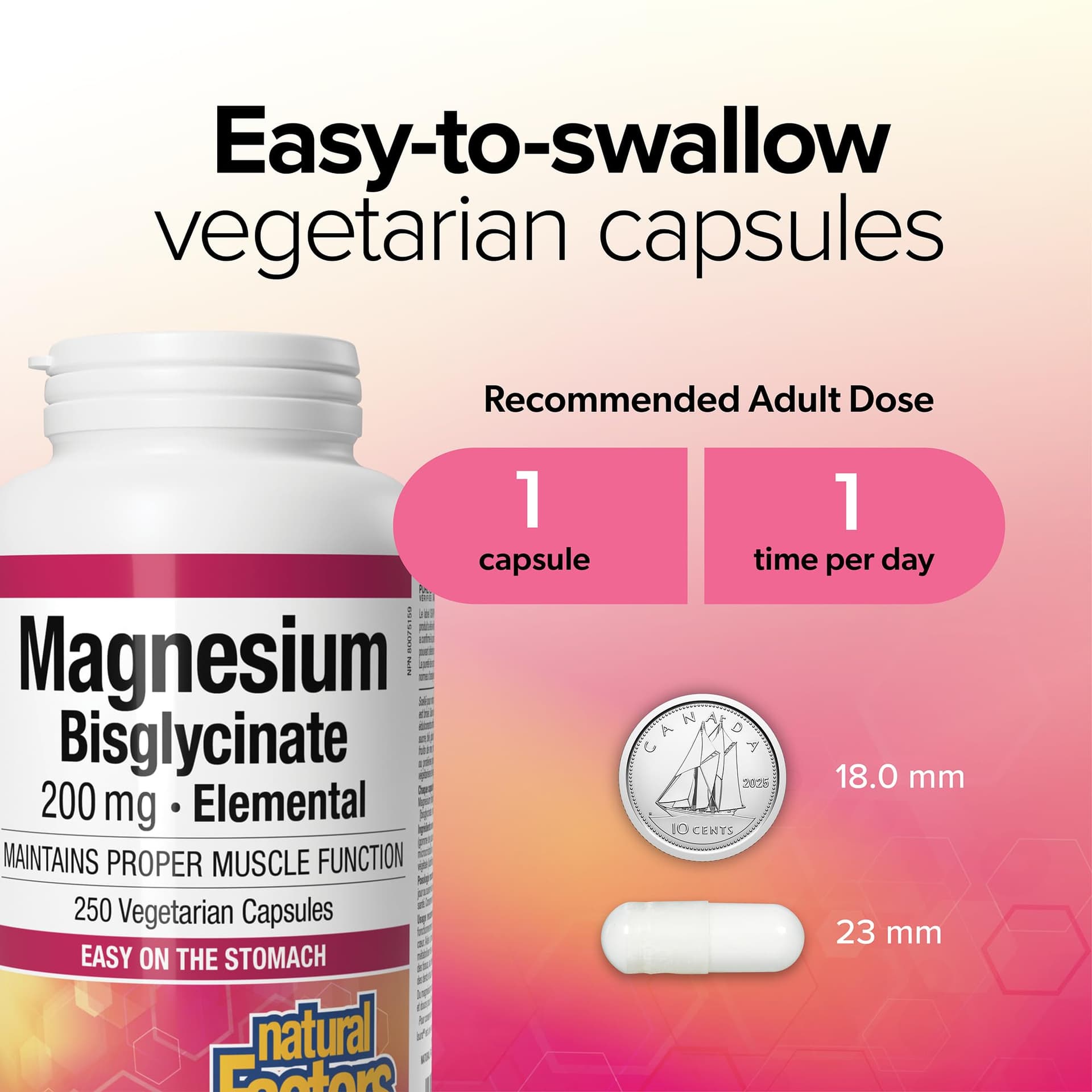 Natural Factors Magnesium Bisglycinate 200mg – Bild 3