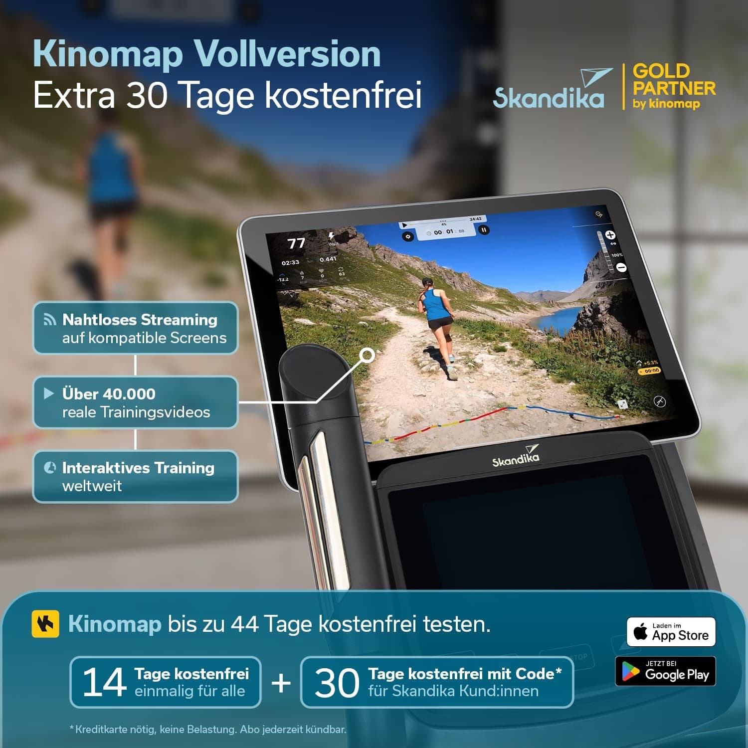 Skandika Crosstrainer für Zuhause Carbon P23-S – Bild 4