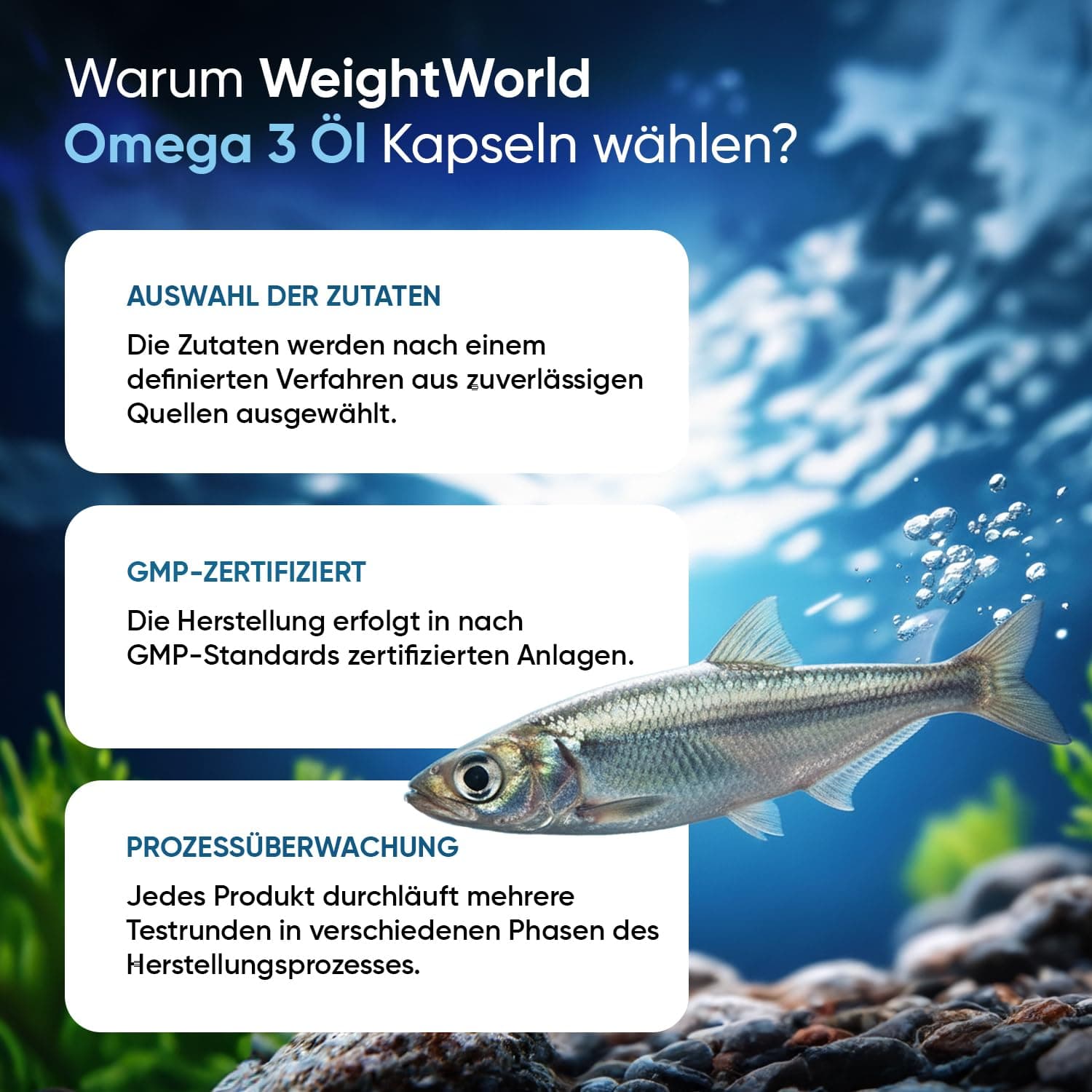 WeightWorld Omega 3 Kapseln – Bild 8