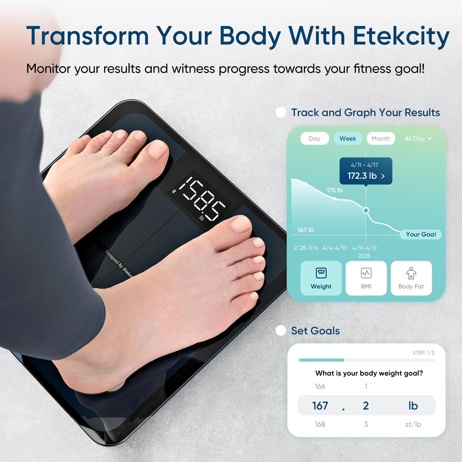 Etekcity Smart Scale for Body Weight – Bild 4