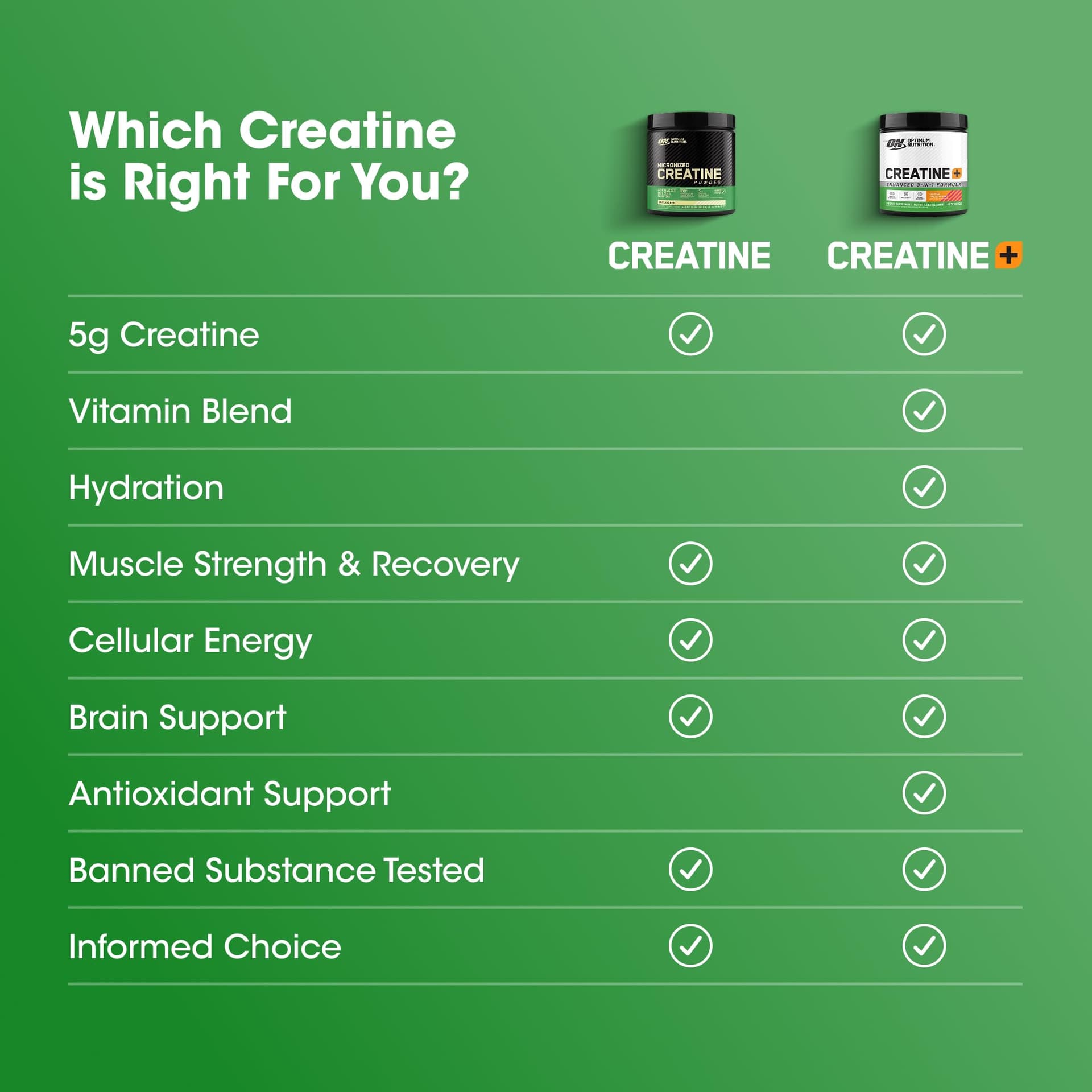 Optimum Nutrition Micronized Creatine Monohydrate Powder – Bild 4