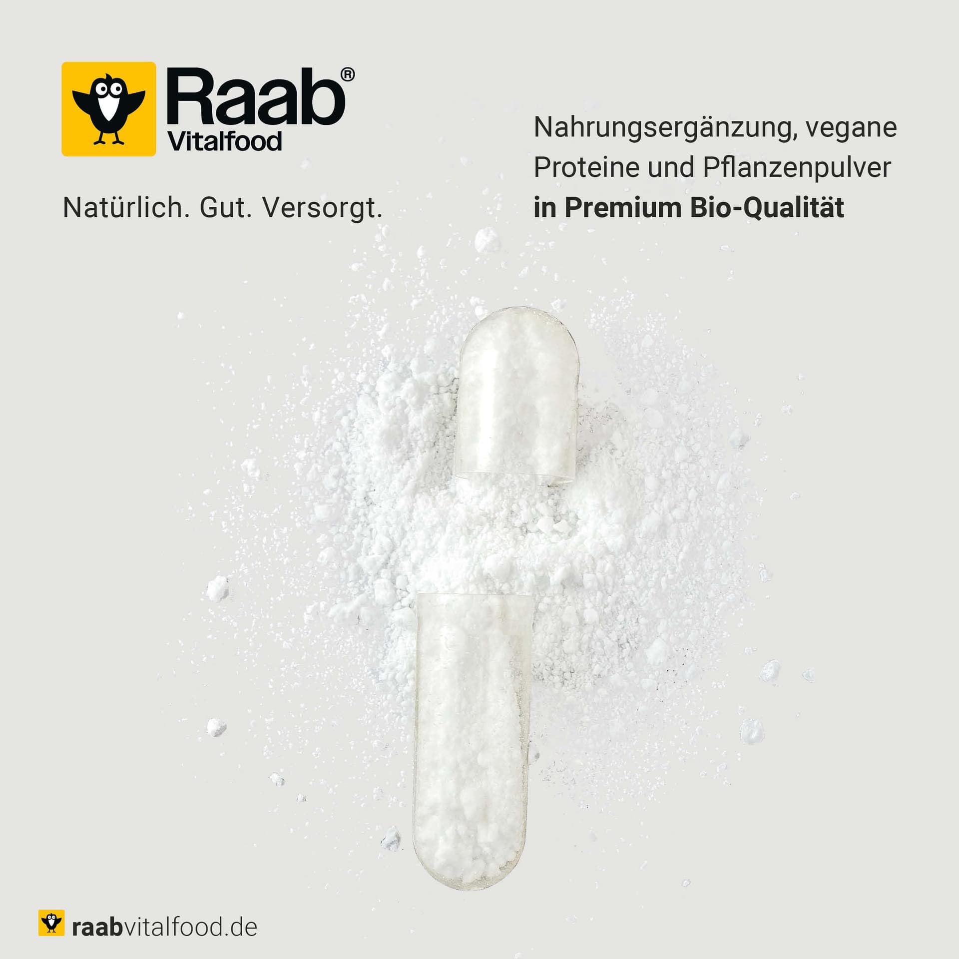 Raab Vitalfood® Elektrolyte Pur (170 g – Bild 8
