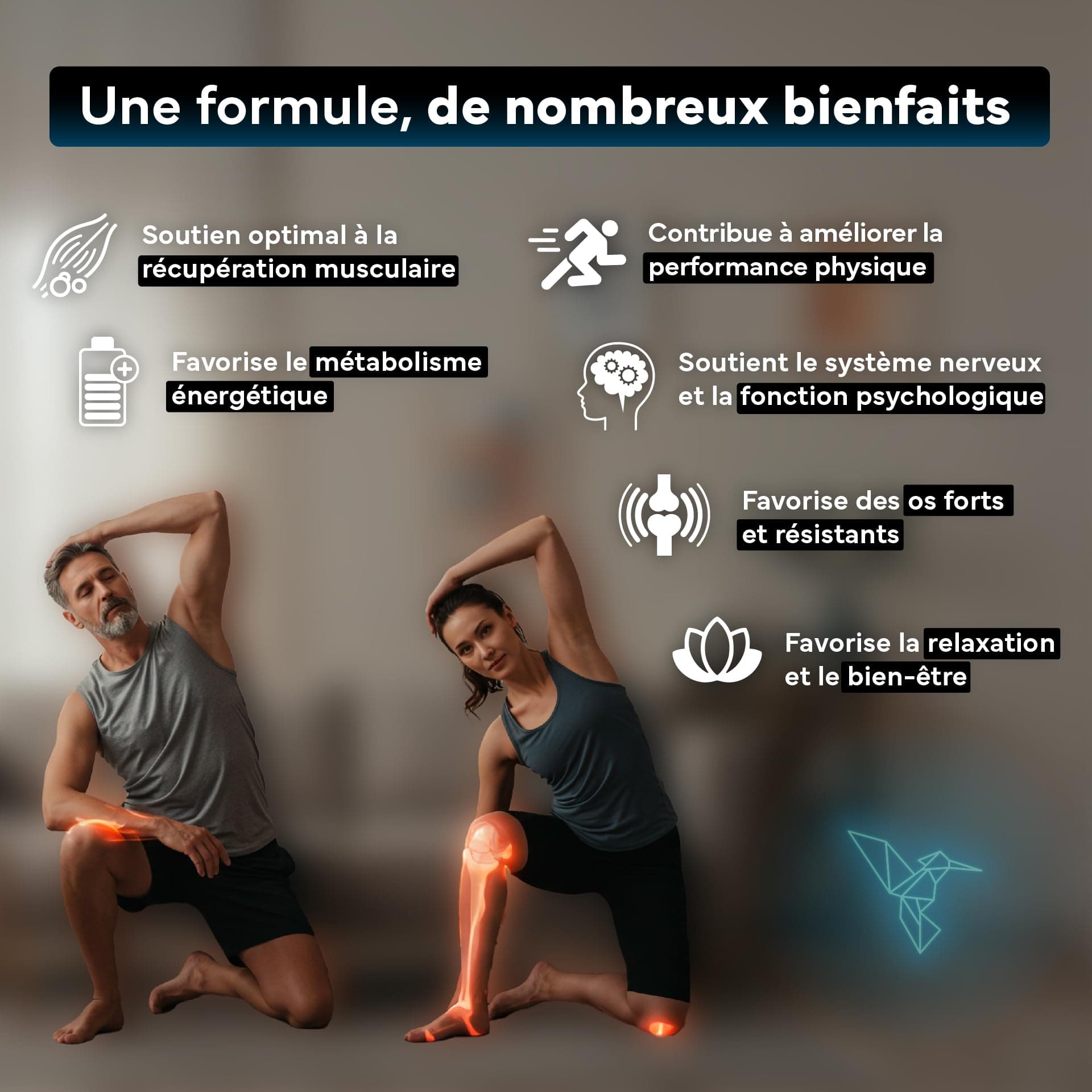 SEVENS NUTRITION Magnésium Bisglycinate + Citrate – Bild 3