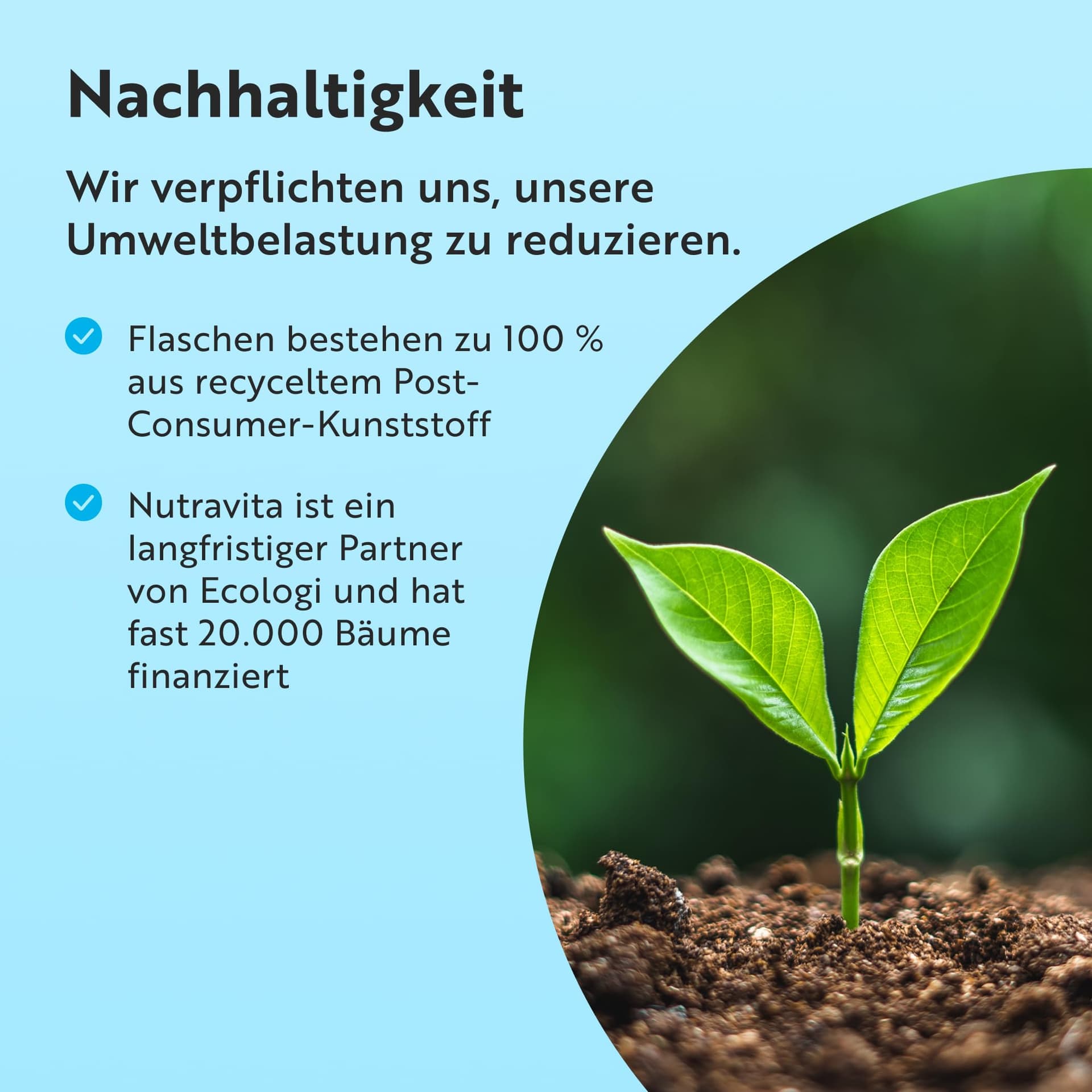 Nutravita Omega 3 Kapseln – Bild 7