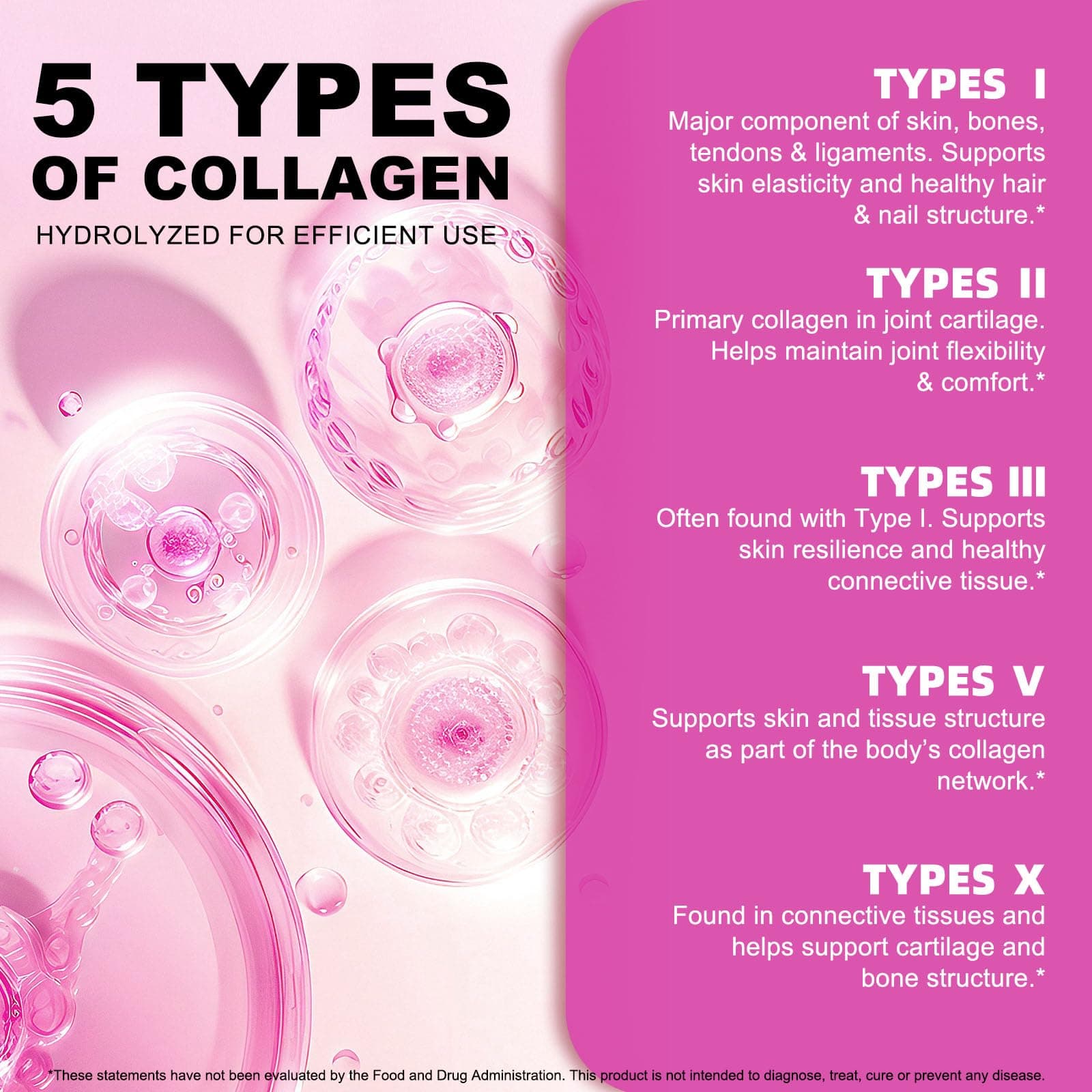 AEBEFBAW Multi Collagen Peptides Powder | Types I, II, III, V, X | 16 Oz – Bild 4