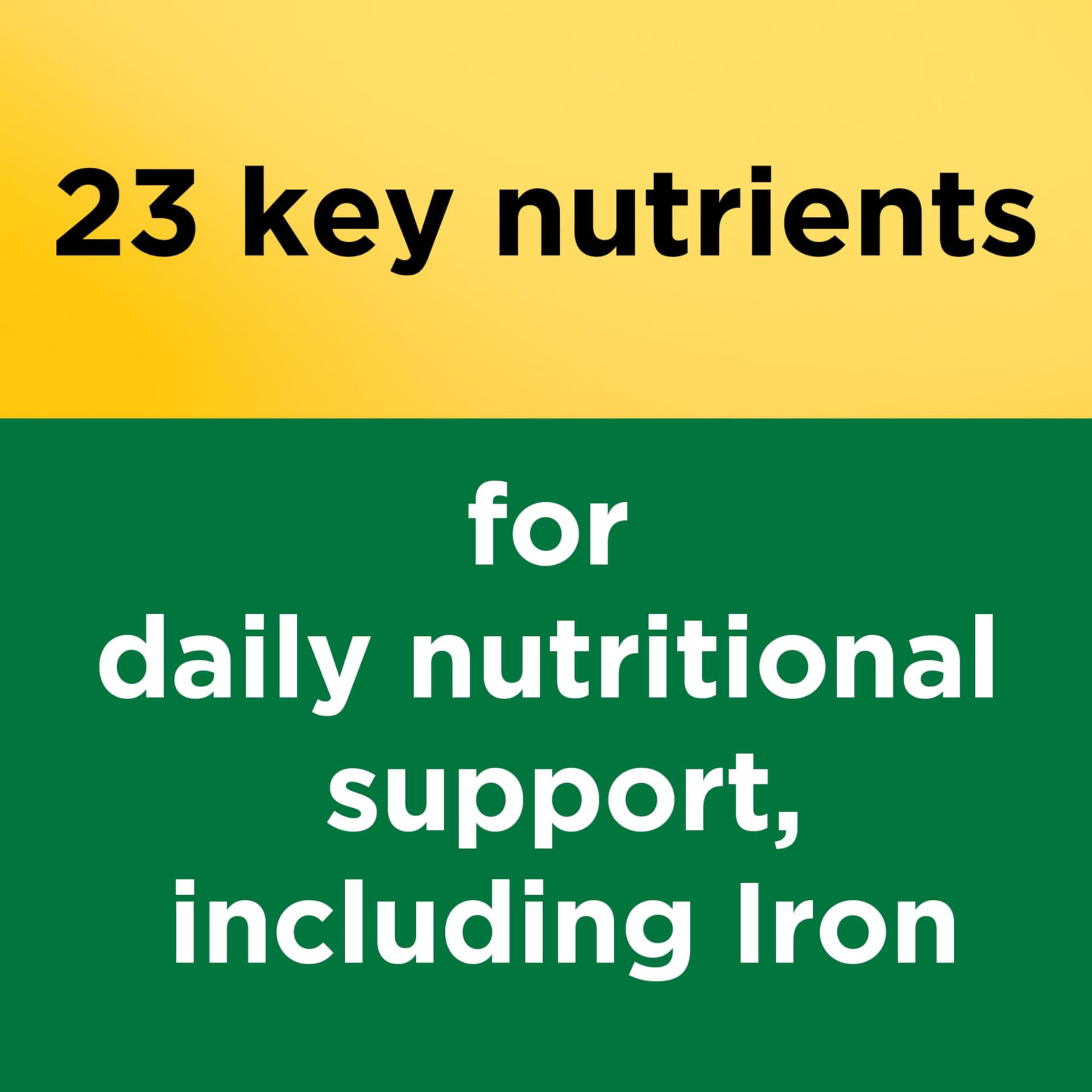 Nature Made Multivitamin Tablets with Iron – Bild 3