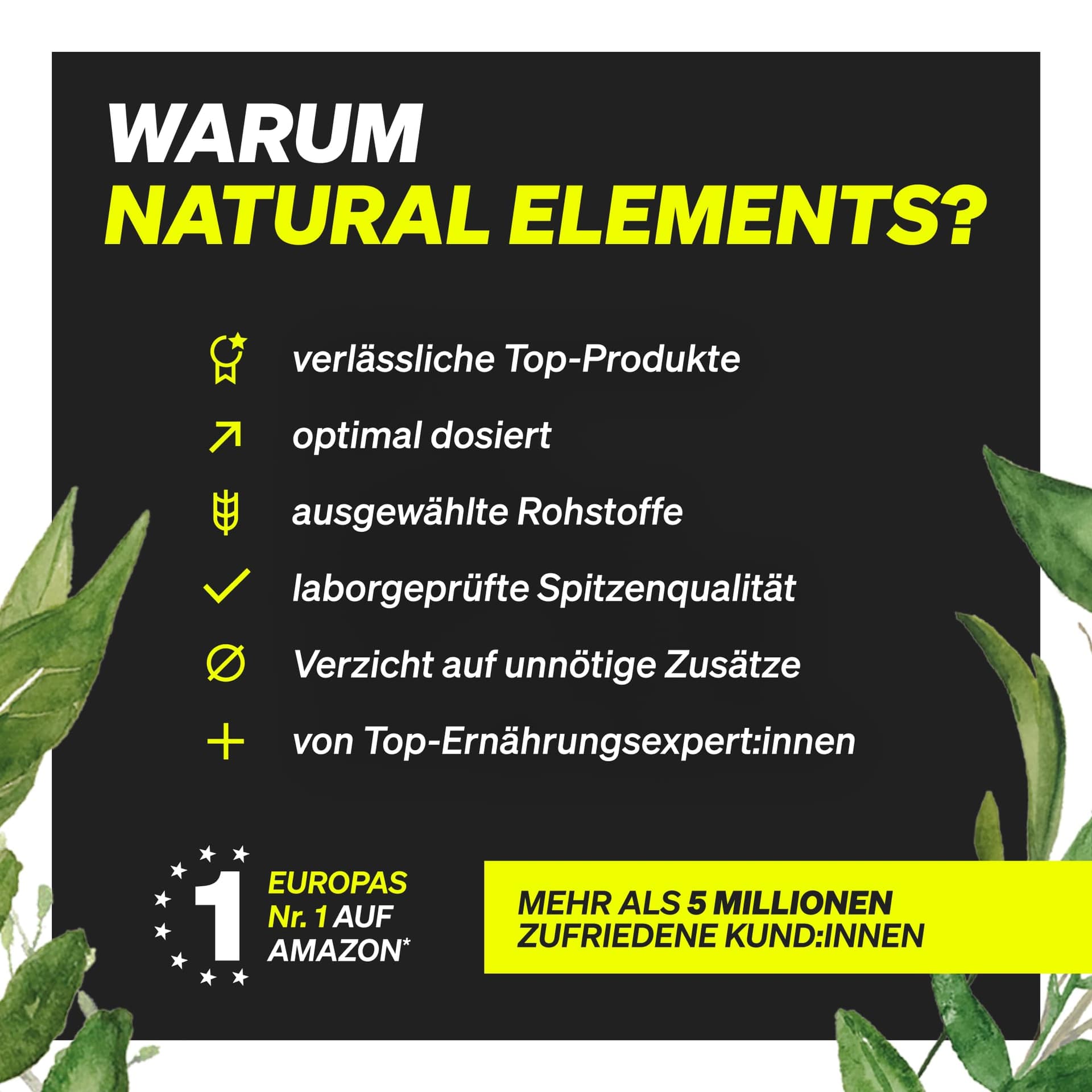 Natural Elements Omega 3 – 365 Kapseln – Bild 2