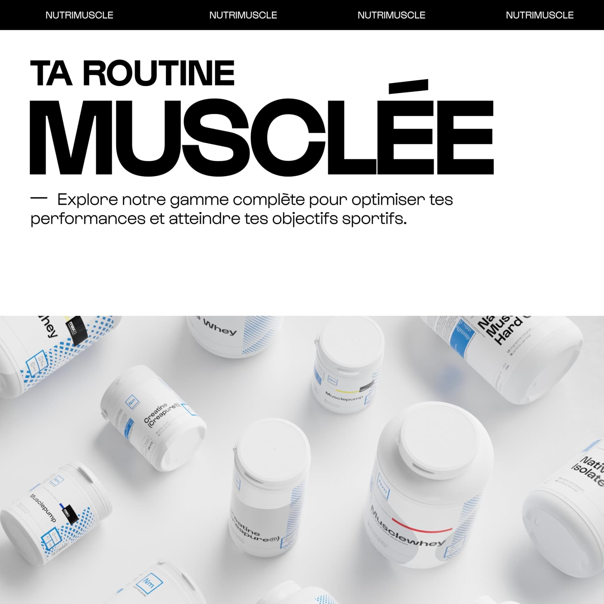 Nutrimuscle Créatine 100% Pure – Bild 5