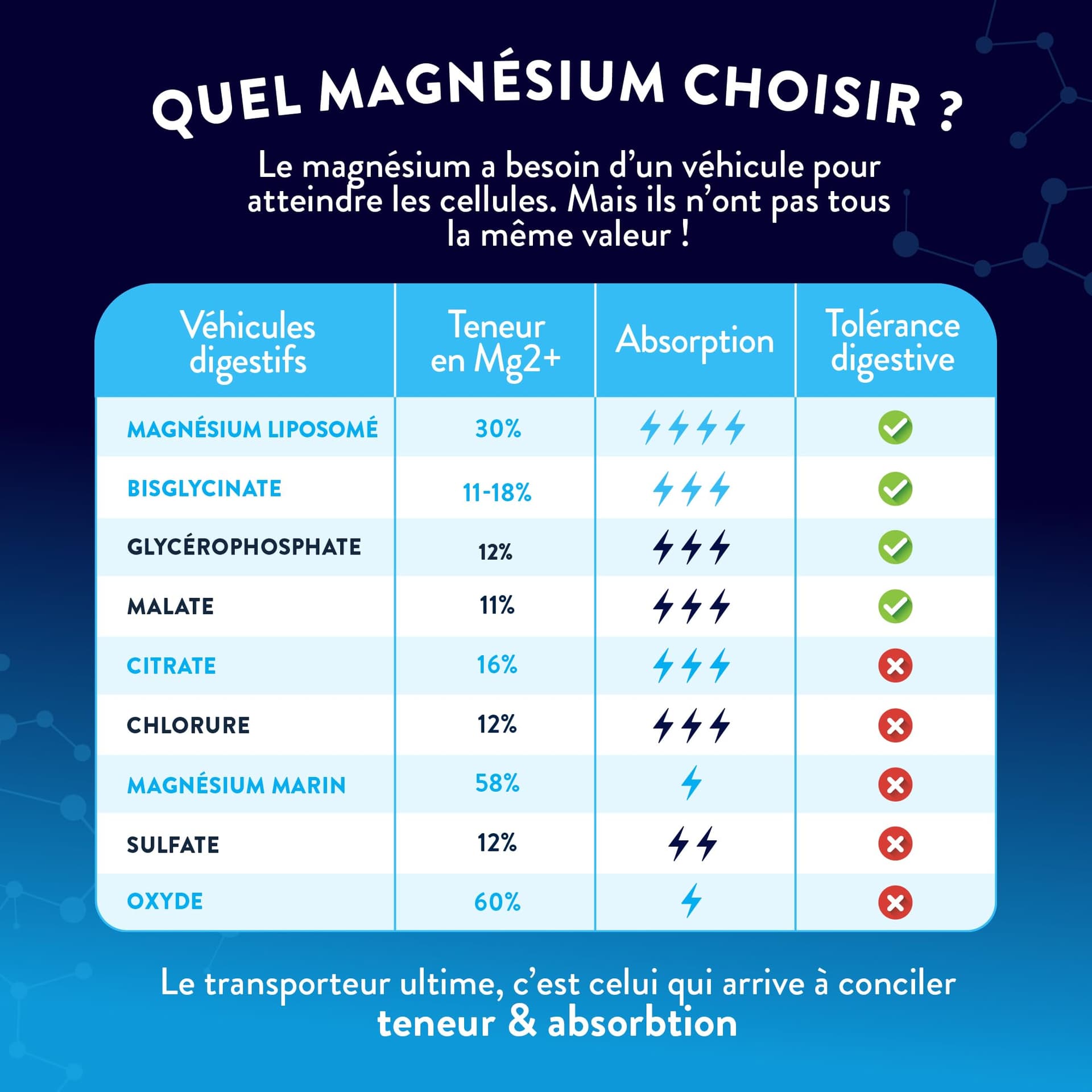 NUTRI & CO Magnésium Bisglycinate Malate & Liposome + – Bild 5