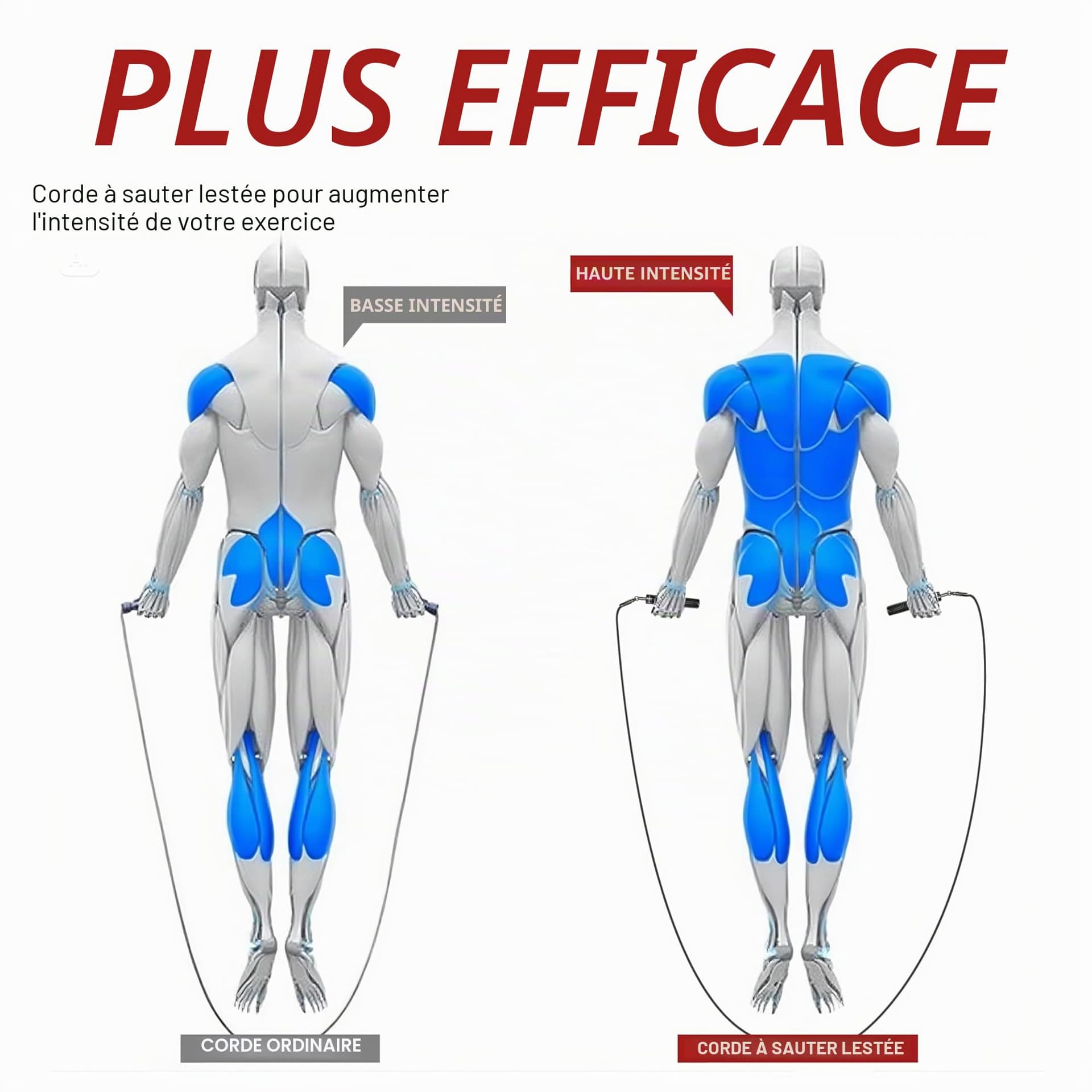 MOGOLD Cordes à sauter pondérées pour homme et femme avec – Bild 5