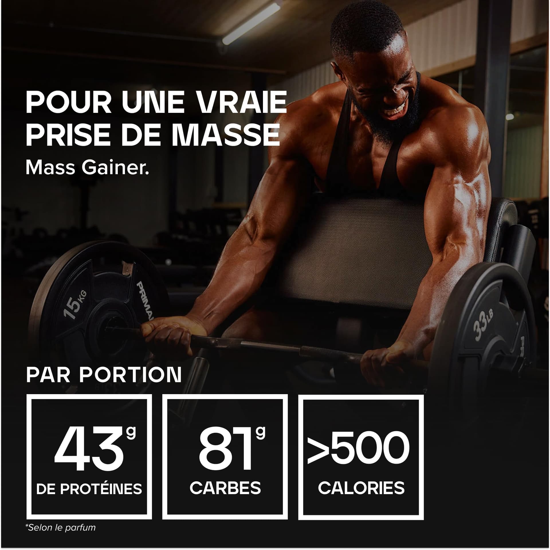 Bulk Gainer Complet | Chocolat | 6 portions – Bild 2