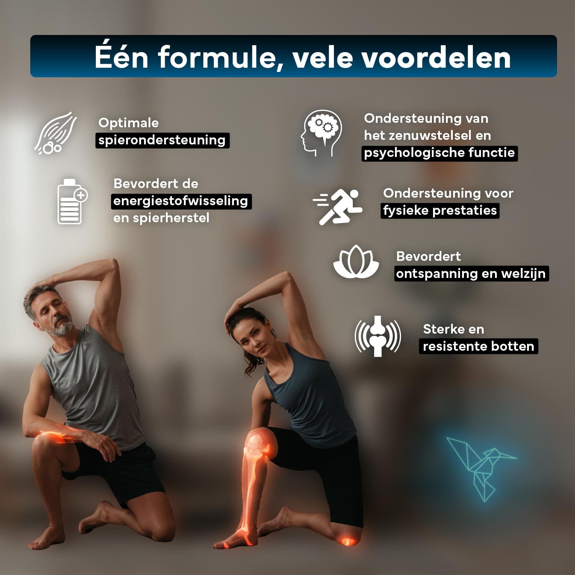 SEVENS NUTRITION Magnésium Bisglycinate + Citrate – Bild 3