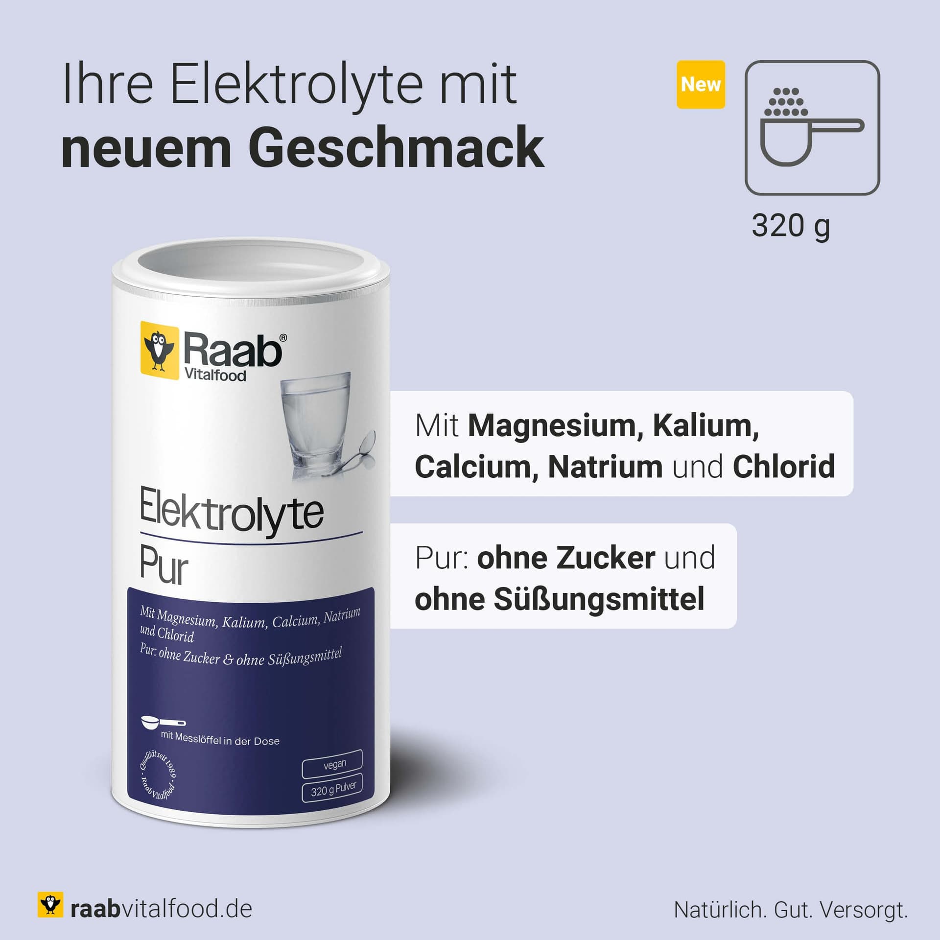 Raab Vitalfood Raab® Elektrolyte Pur (320 g – Bild 3