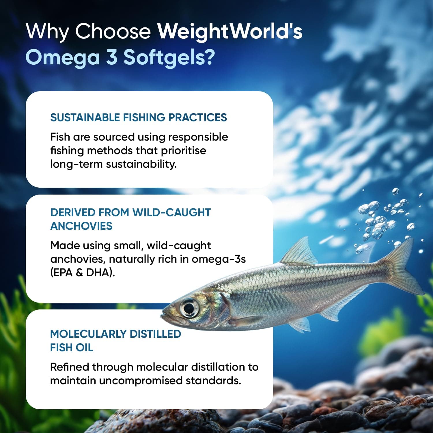 WeightWorld Omega 3 Kapseln – Bild 5