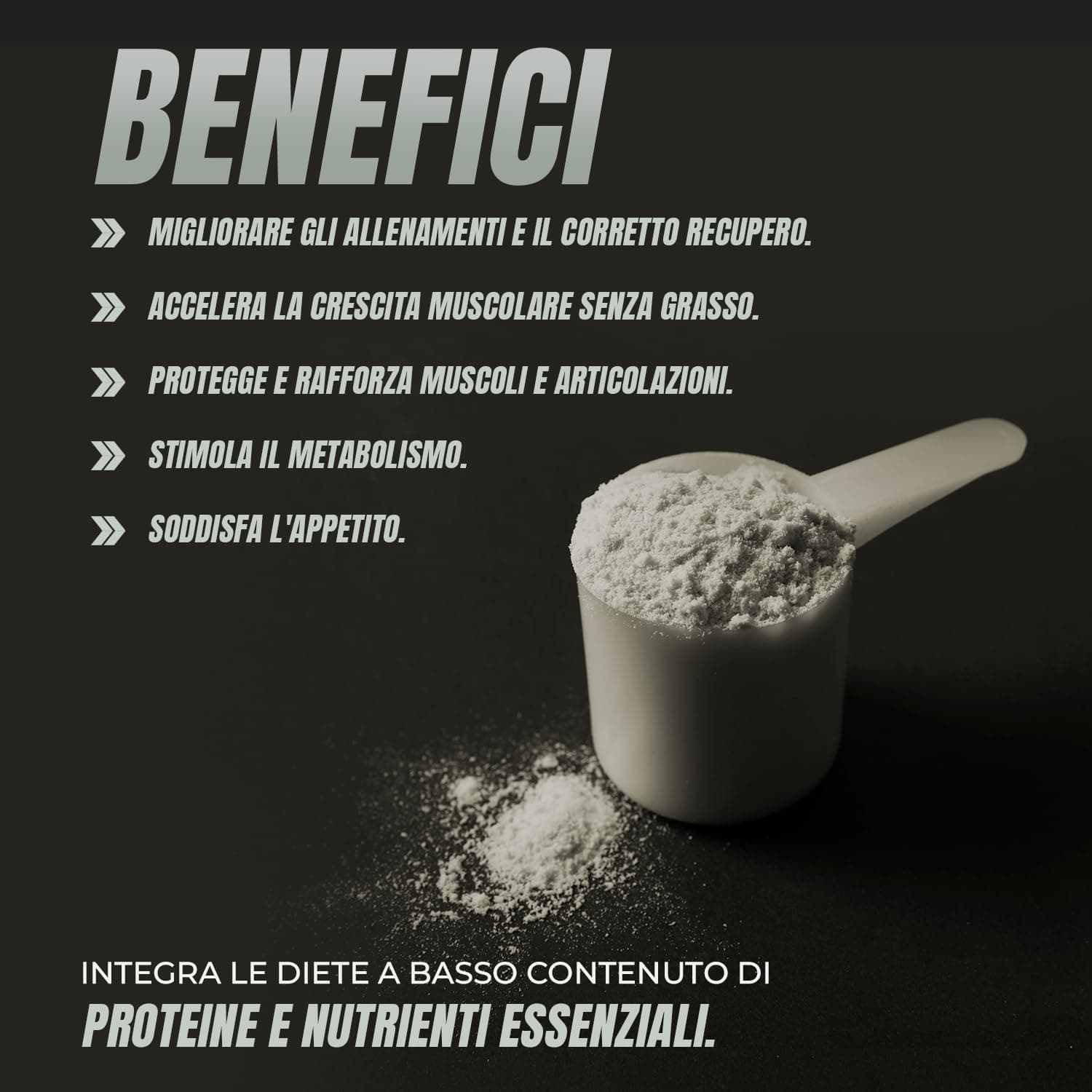 Healthy Fusion Whey Protein – Bild 4