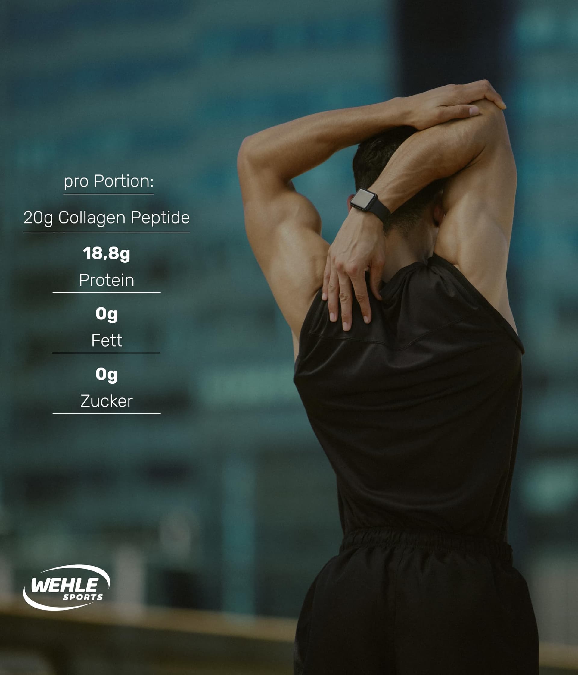 Wehle Sports Collagen Pulver – Bild 5