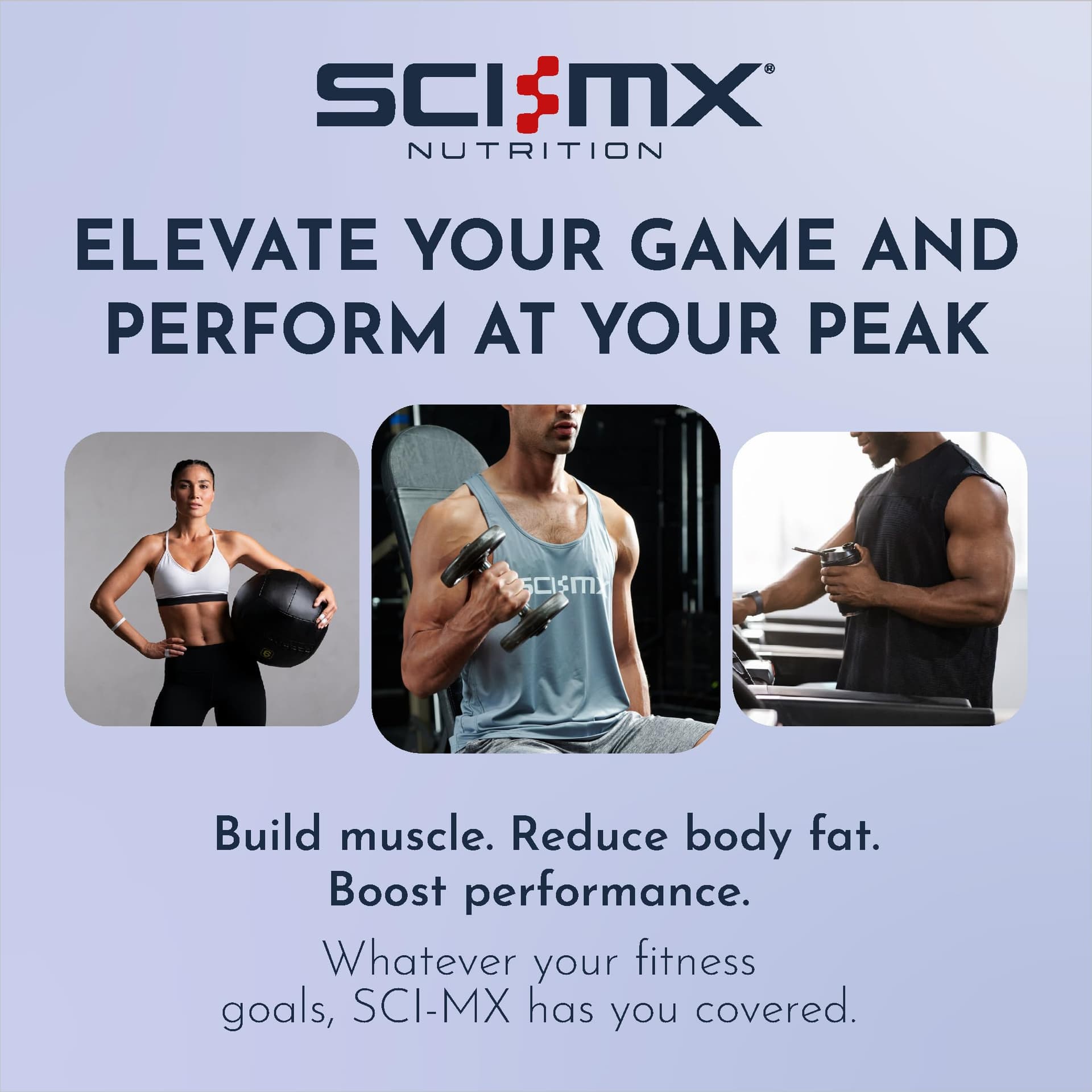 SCI-MX High Protein White Choc Chip Blondie Box - 20g – Bild 8
