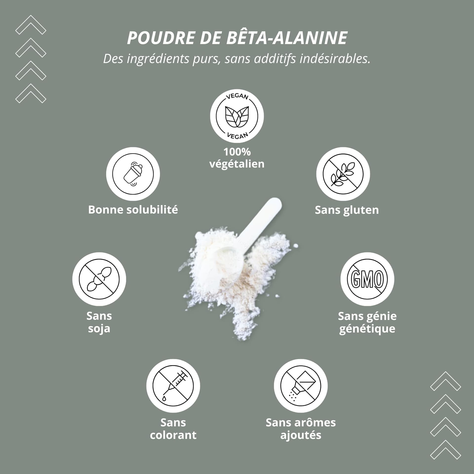 Nutri + Beta Alanin 1 kg – Bild 3