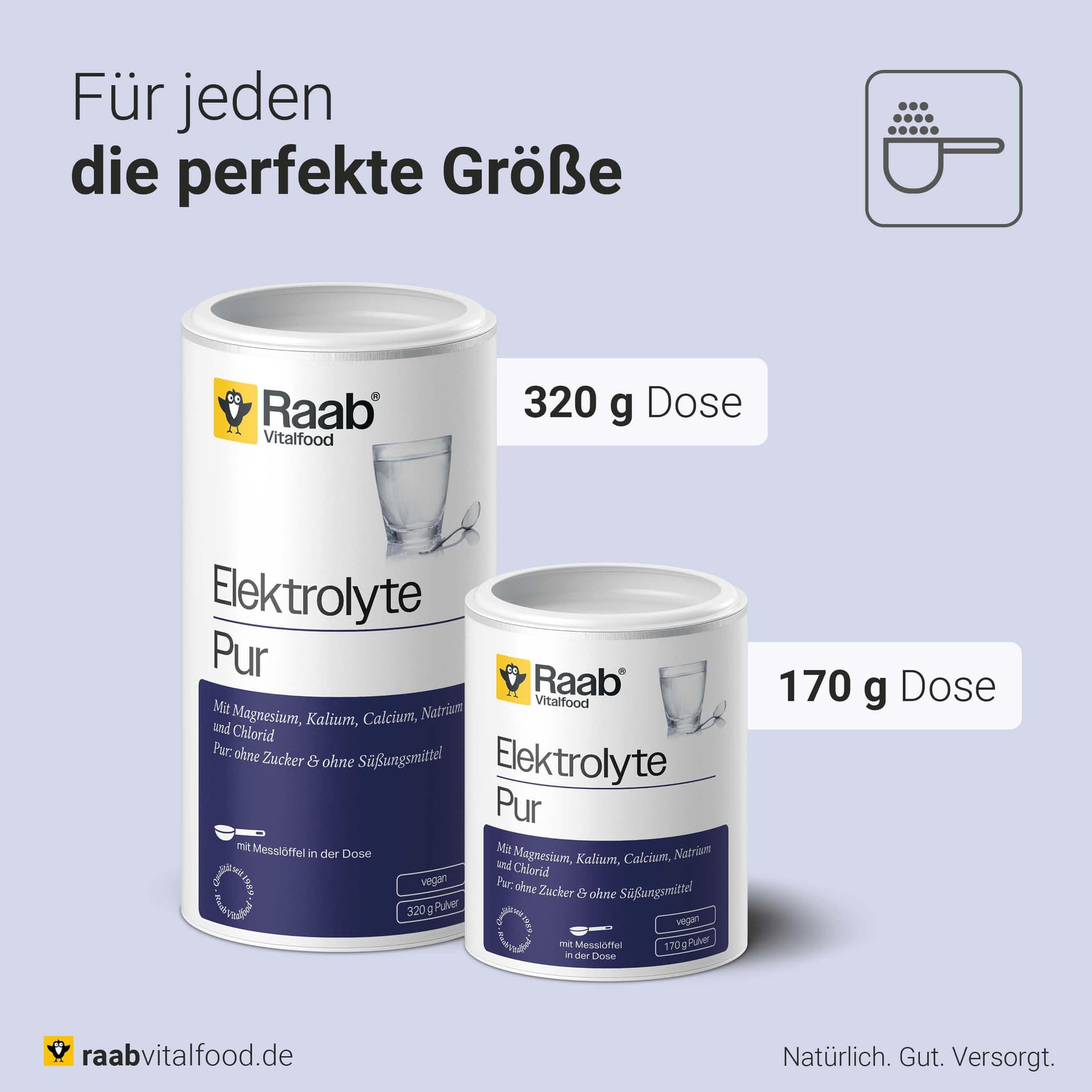 Raab Vitalfood® Elektrolyte Pur (170 g – Bild 6