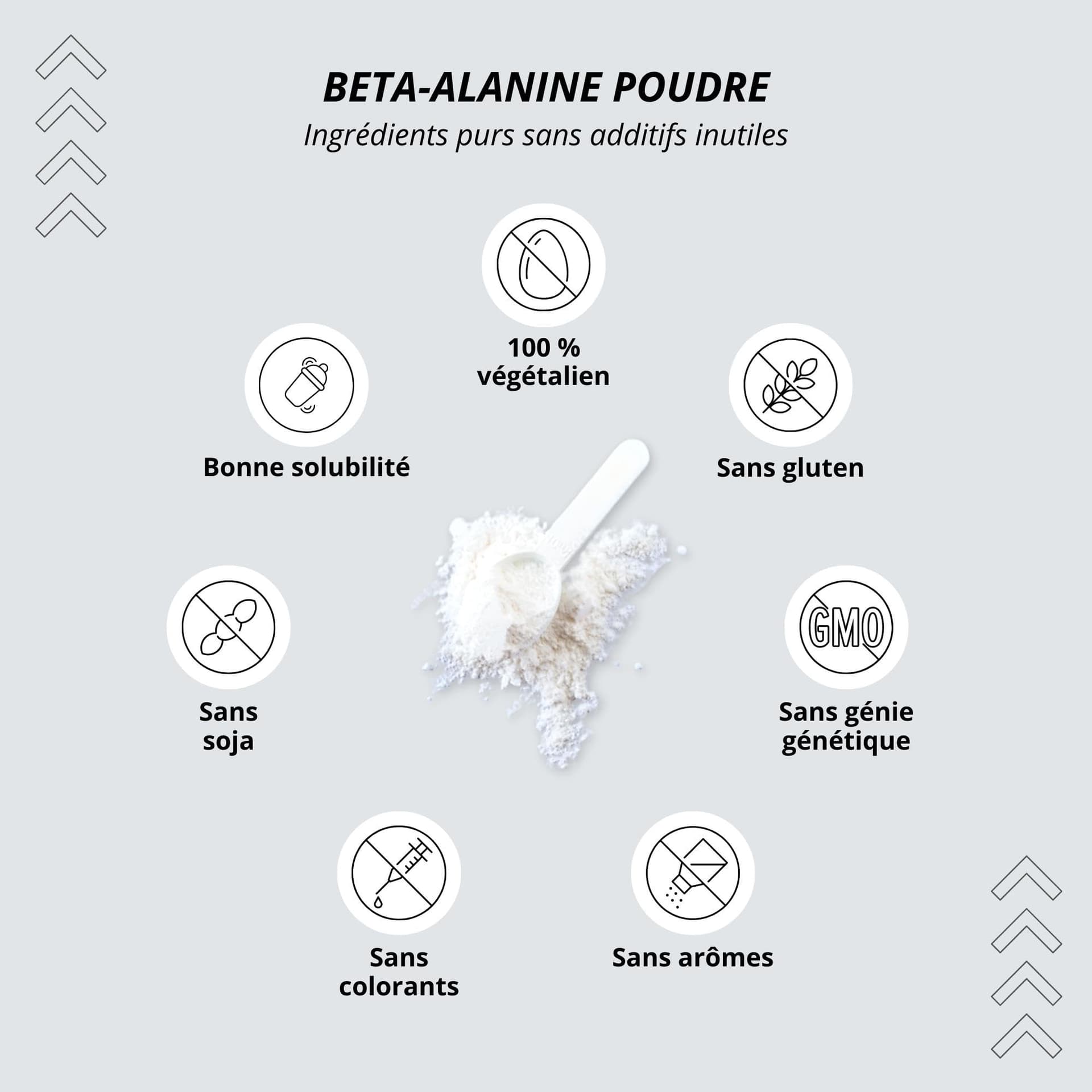 Nutri + Beta Alanin Pulver 500 g – Bild 3
