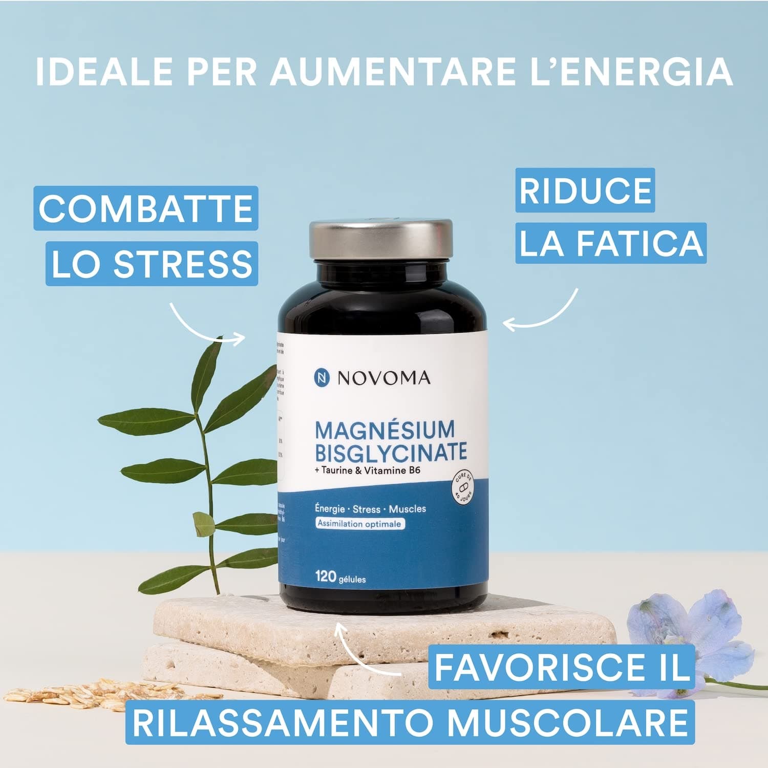 NOVOMA Magnésium Bisglycinate + Taurine & Vitamine B6, Haute Teneur 300mg /j, 120 g – Bild 2