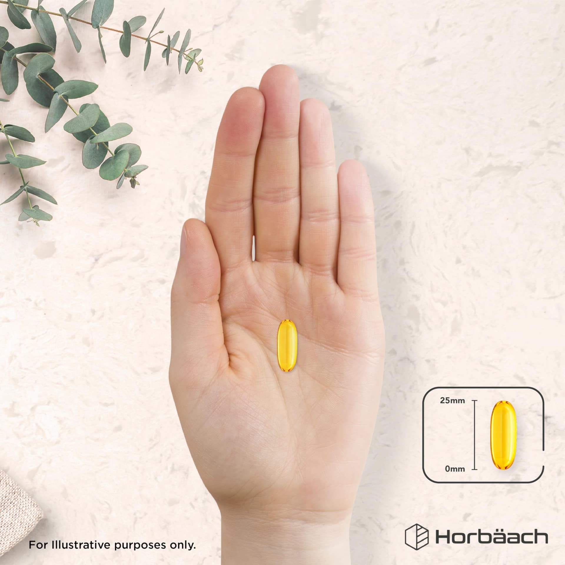 Horbäach Omega 3 Capsules High Strength Fish Oil – Bild 7