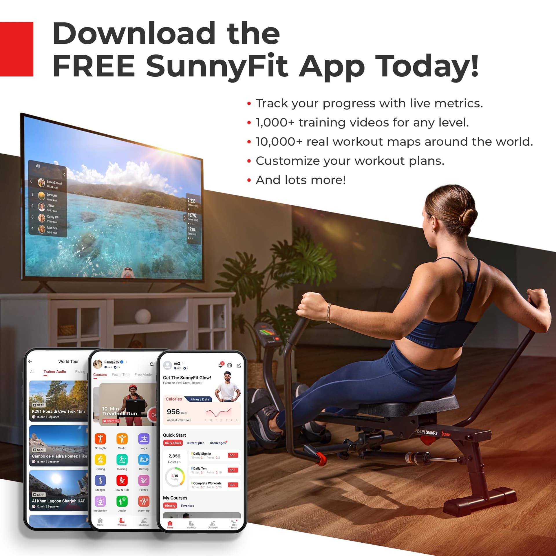 Sunny Health & Fitness Máquina de Remo Compacta y Ajustable – Bild 7