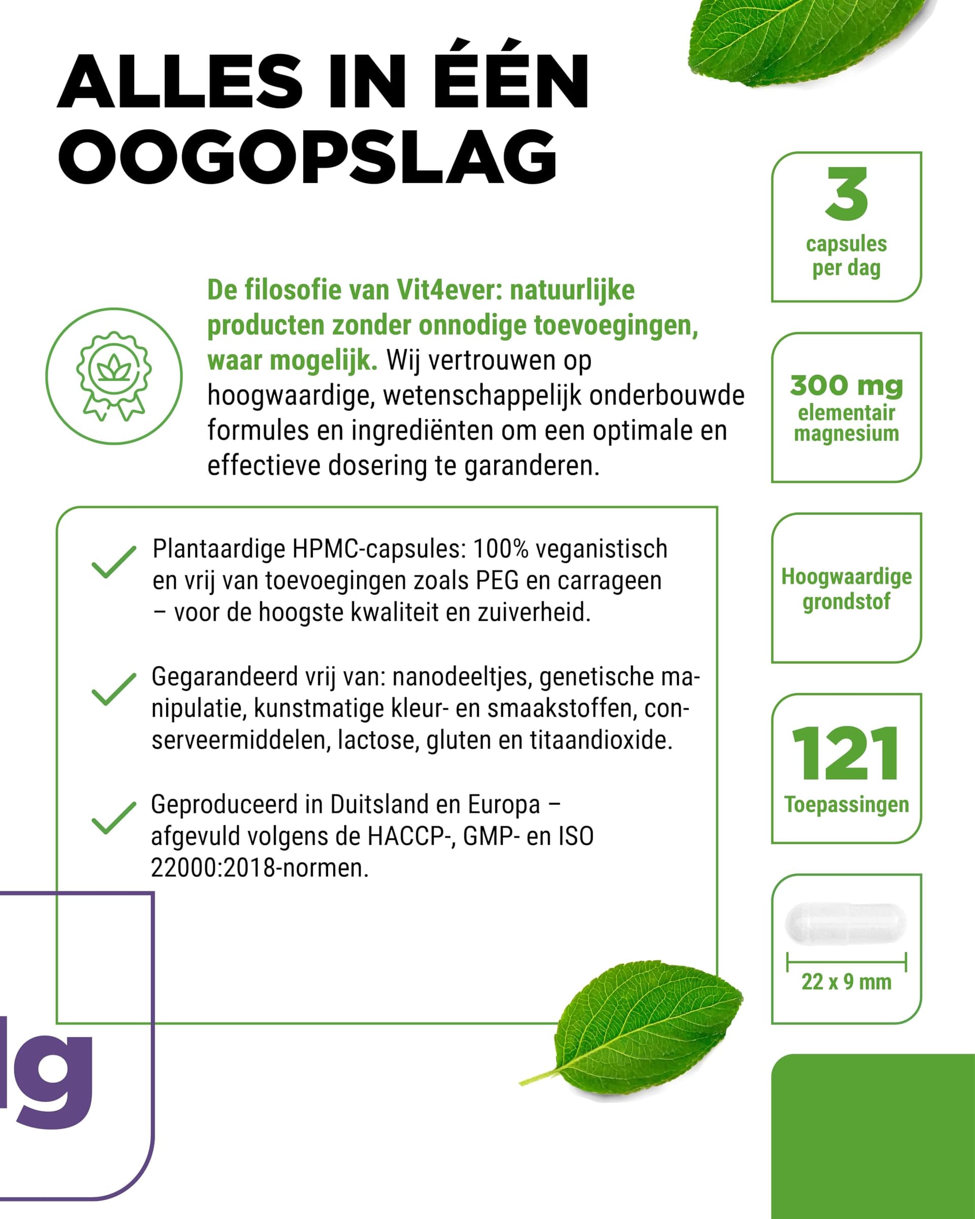 Vit4ever Magnesiumbisglycinat - 365 Kapseln – Bild 5