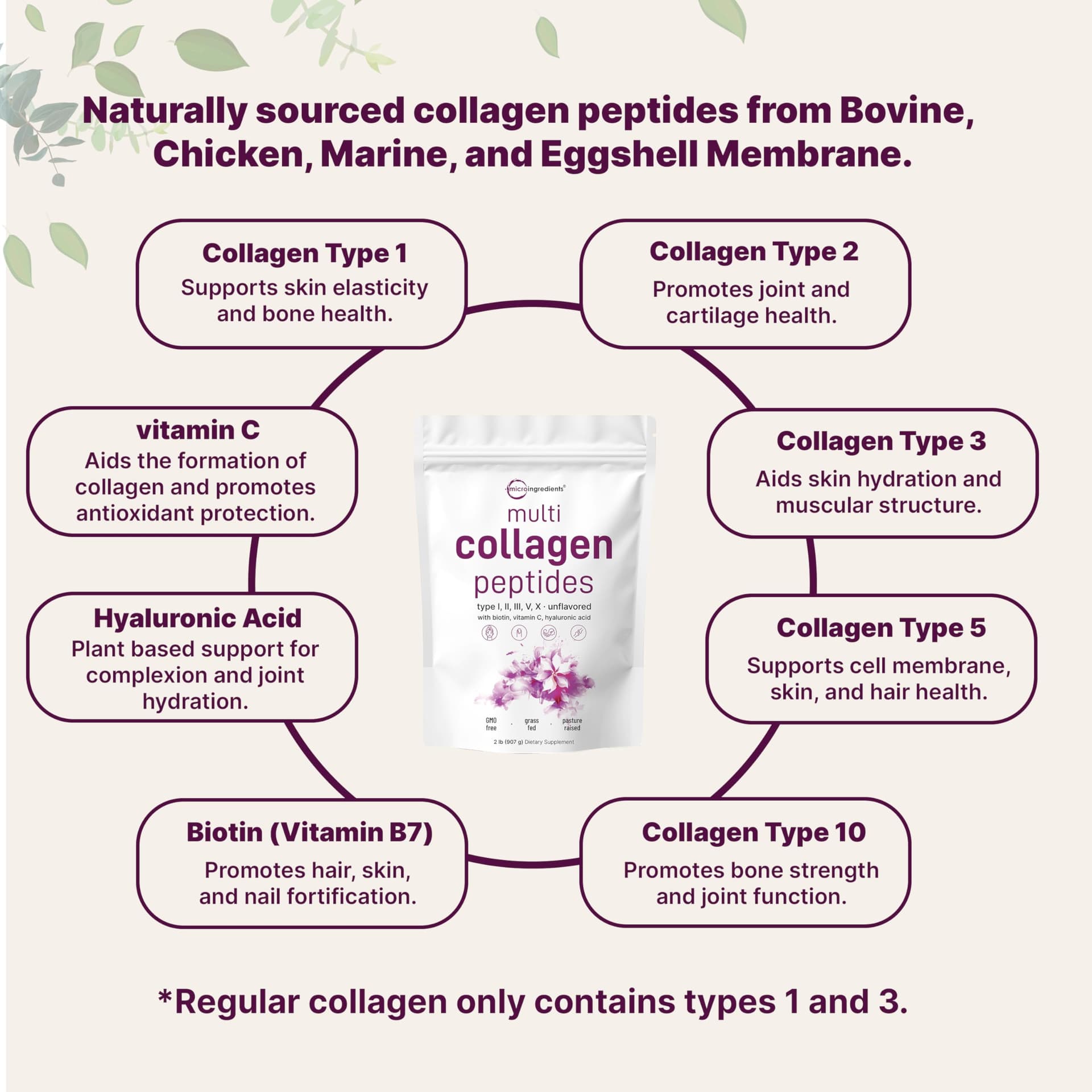 Micro Ingredients Multi Collagen Peptides Powder, 2lb – Bild 3