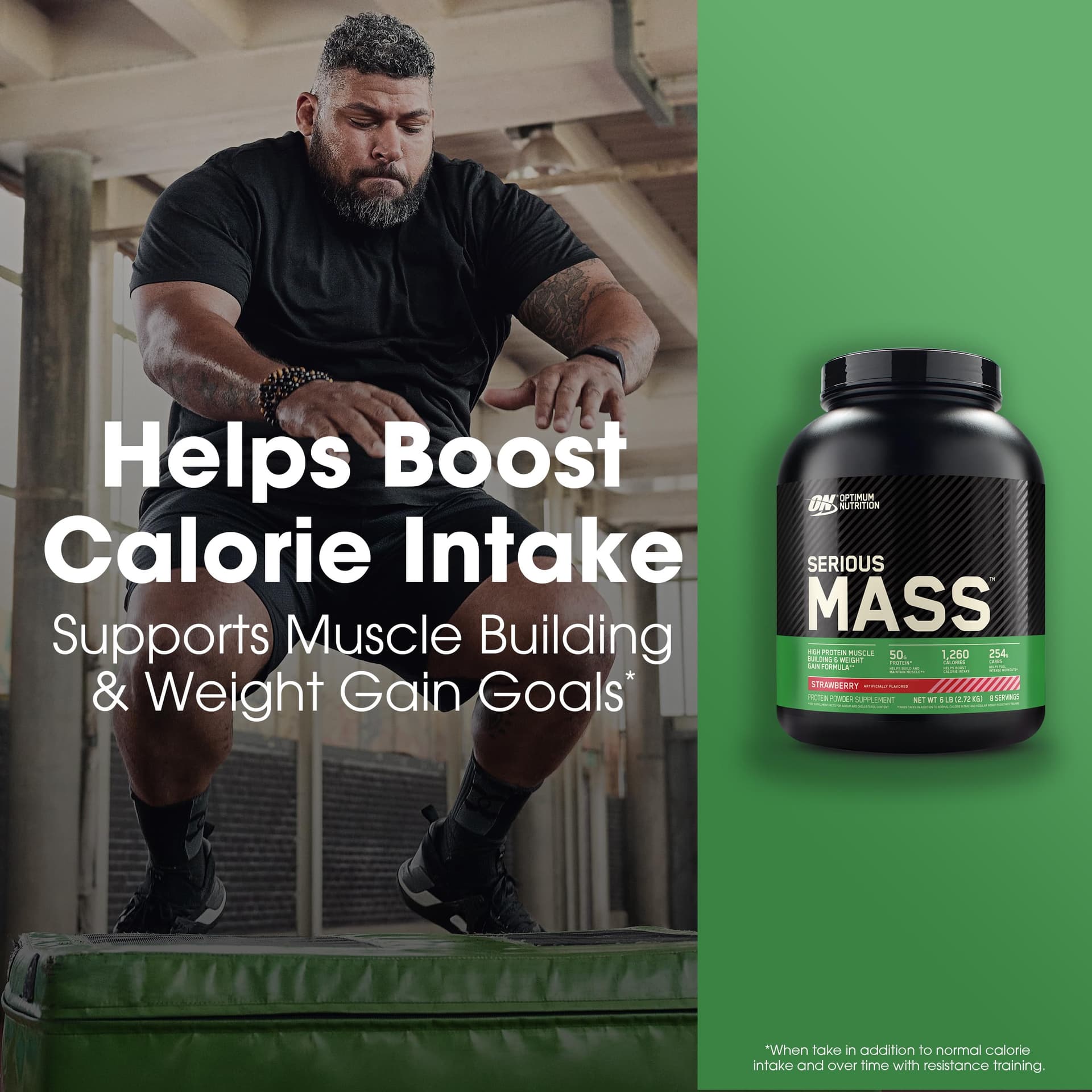 Optimum Nutrition Serious Mass Protein Powder High Calorie – Bild 2